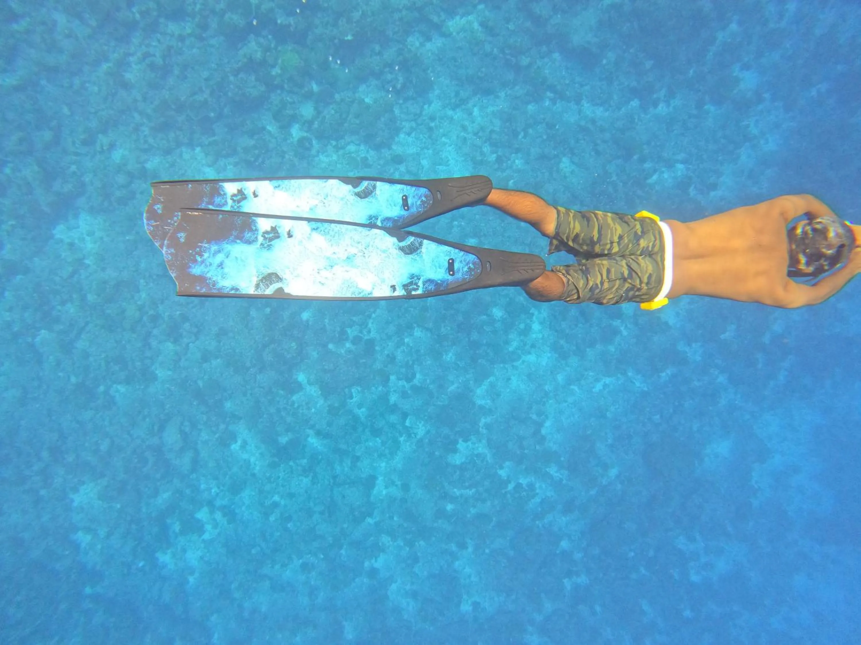 Snorkeling in Manta Sea View Himandhoo
