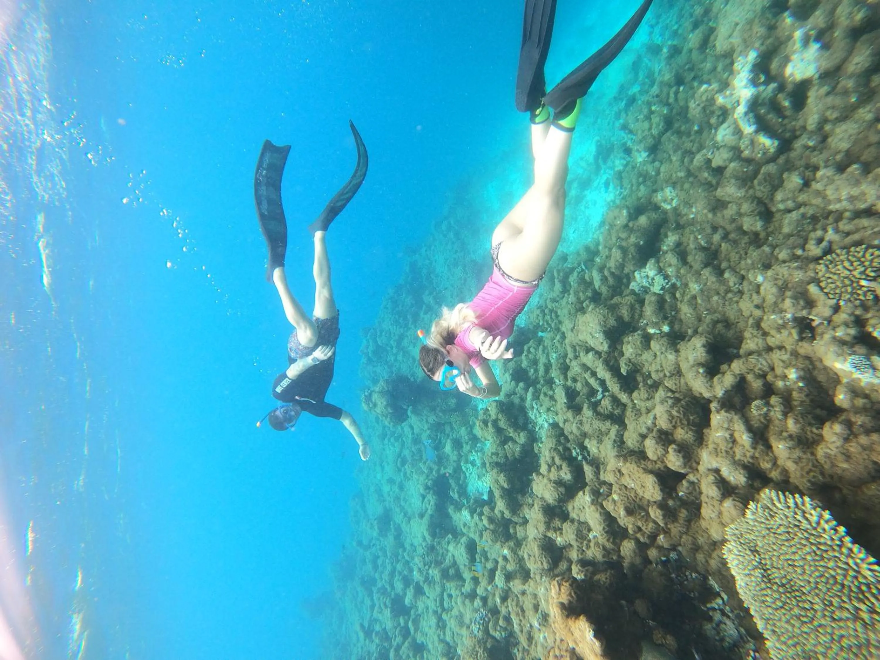 Natural landscape in Manta Sea View Himandhoo