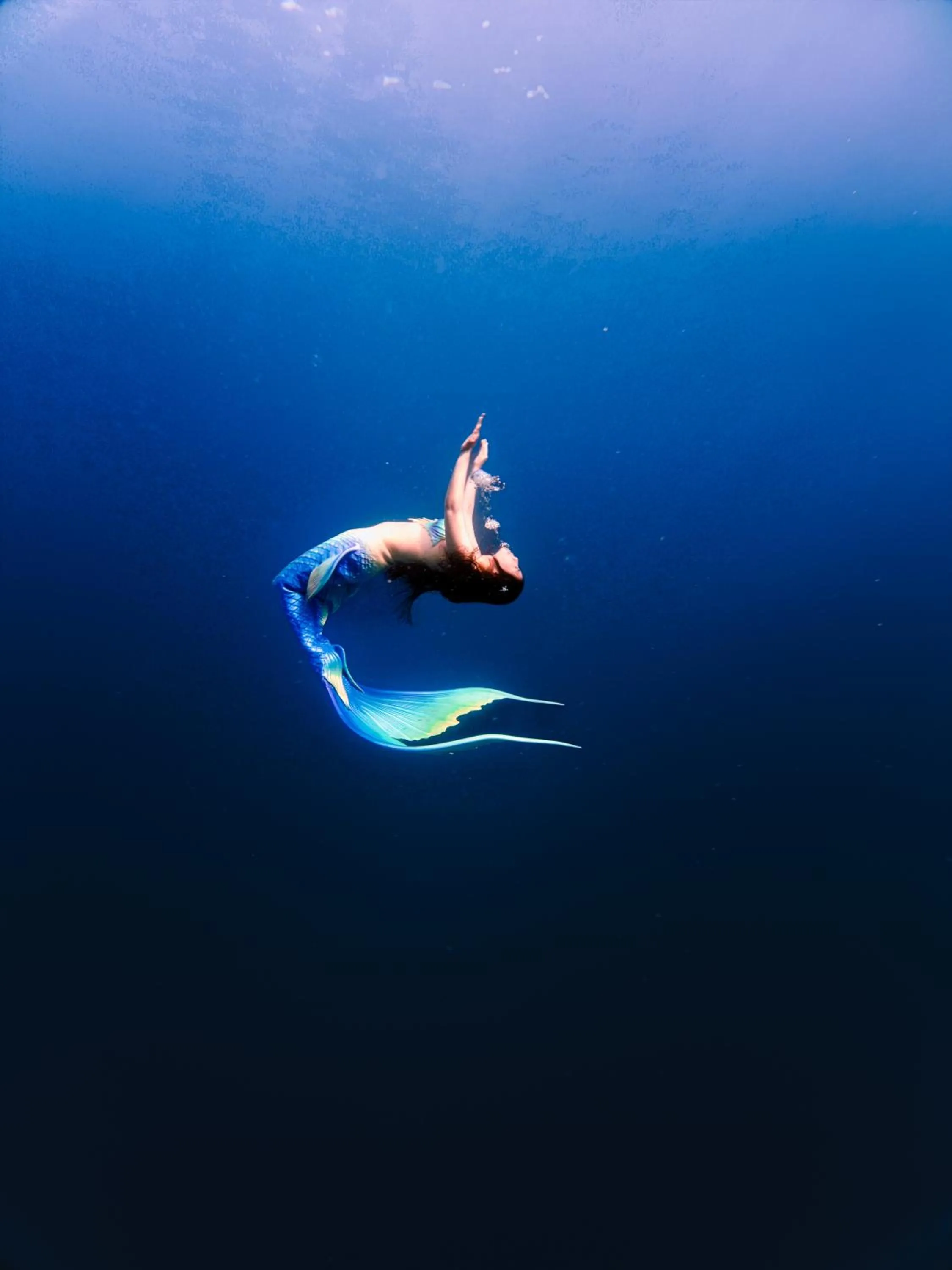 Manta Sea View Himandhoo