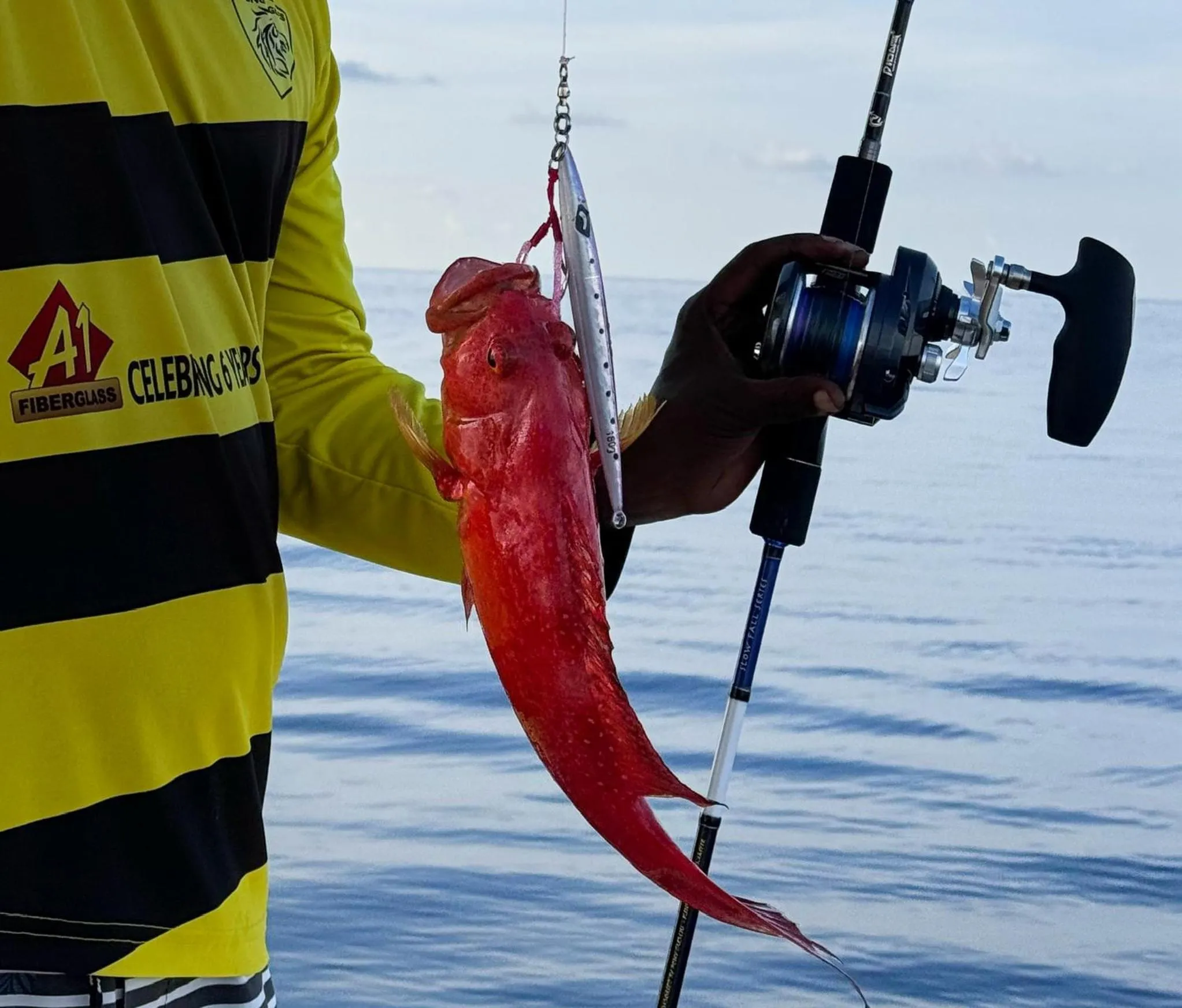 Activities in Manta Sea View Himandhoo