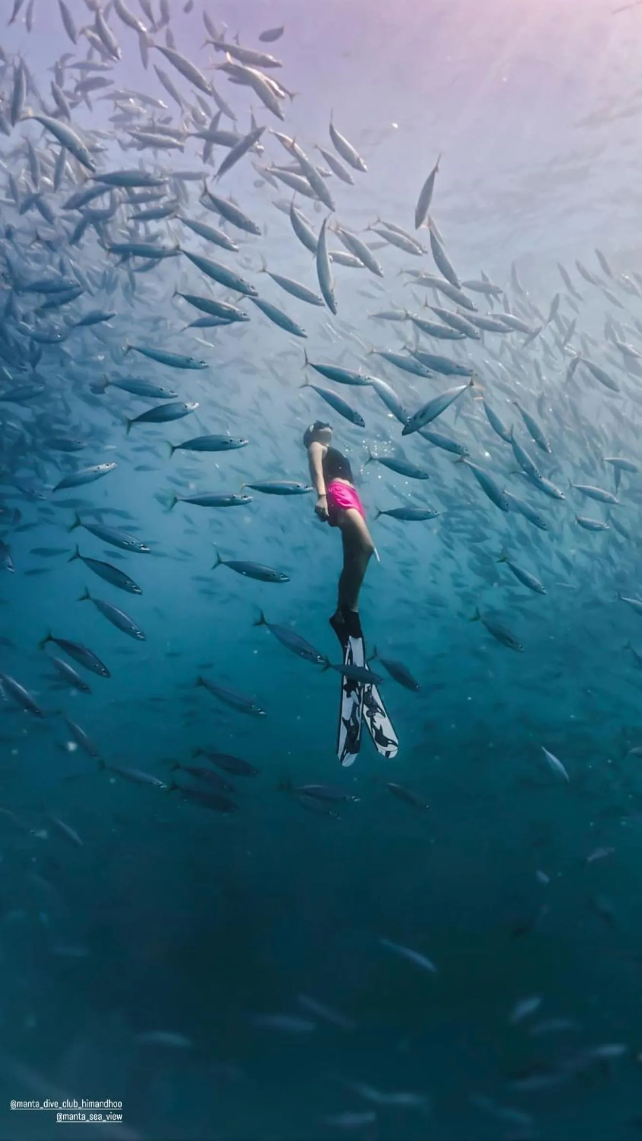 Snorkeling in Manta Sea View Himandhoo