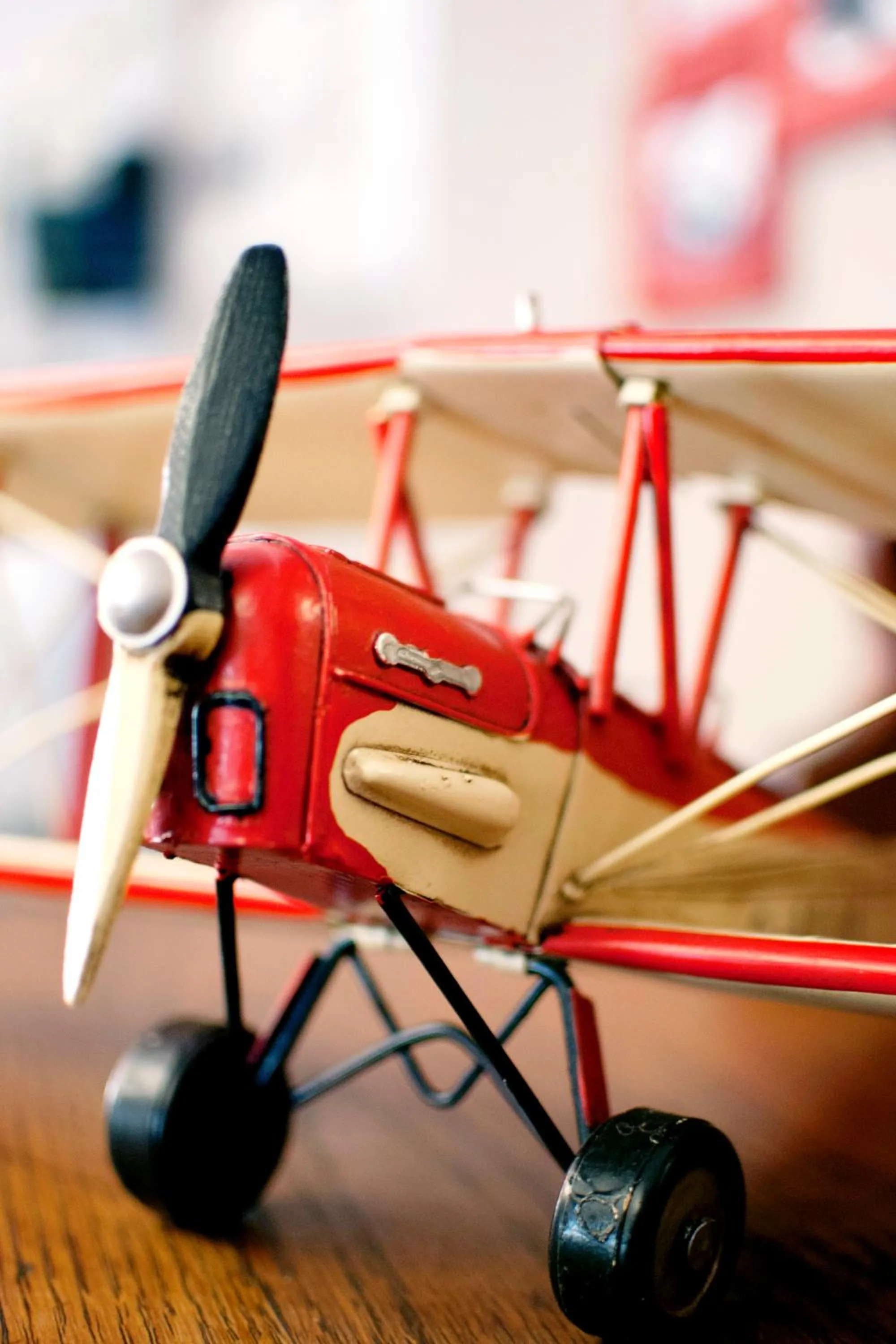 Decorative detail in Barnstormers Rest