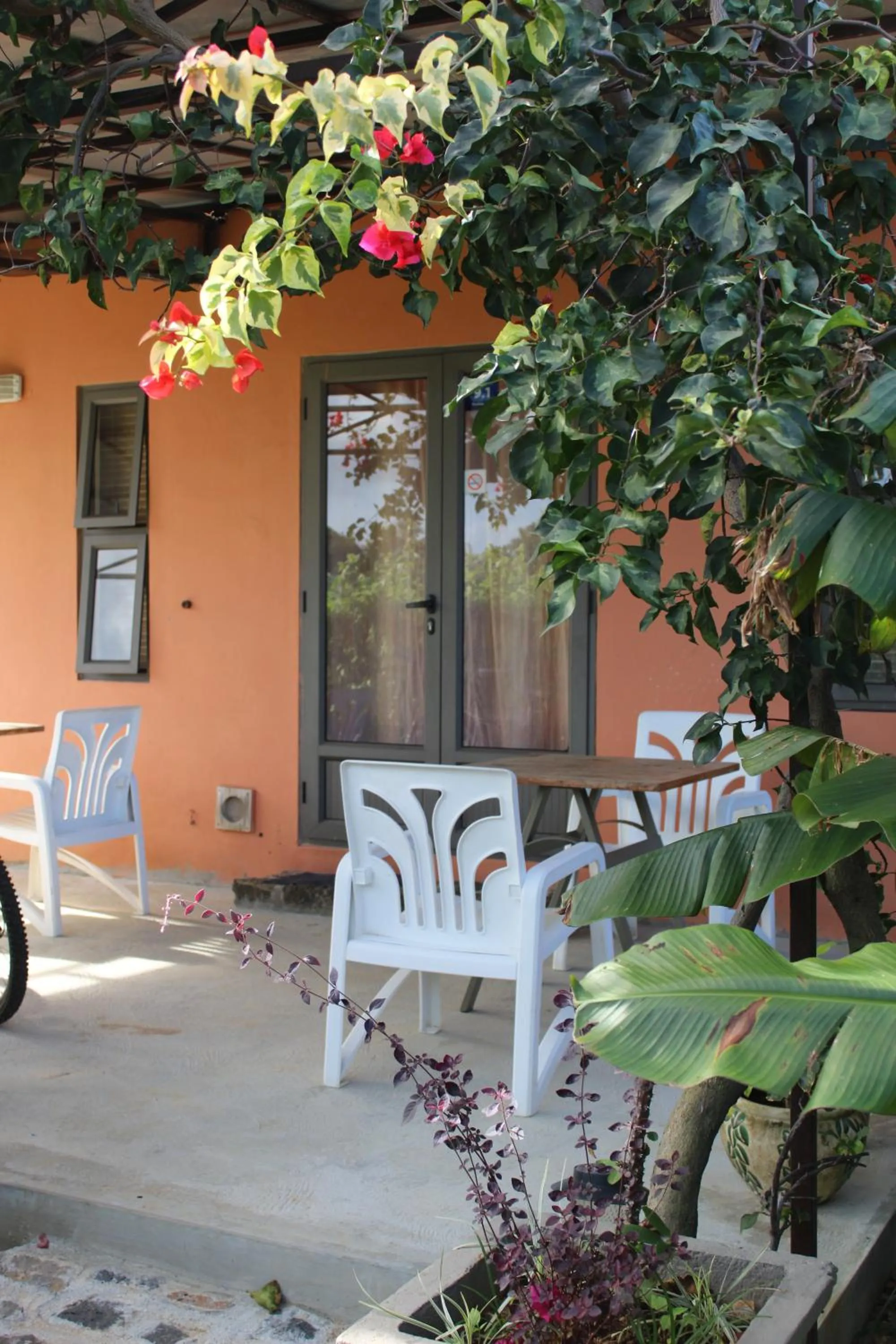 Balcony/Terrace in Gite des Acacias