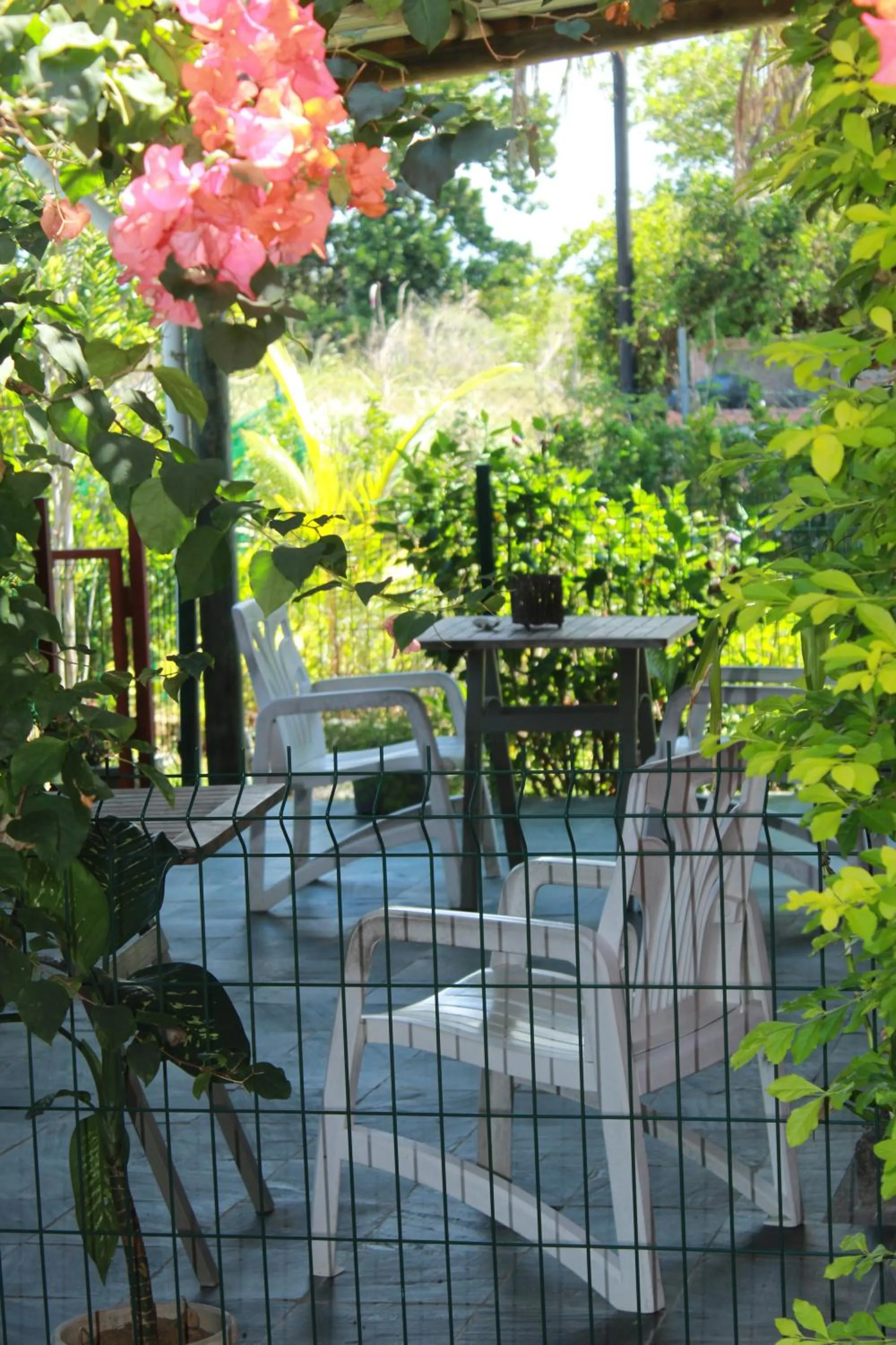 Balcony/Terrace in Gite des Acacias