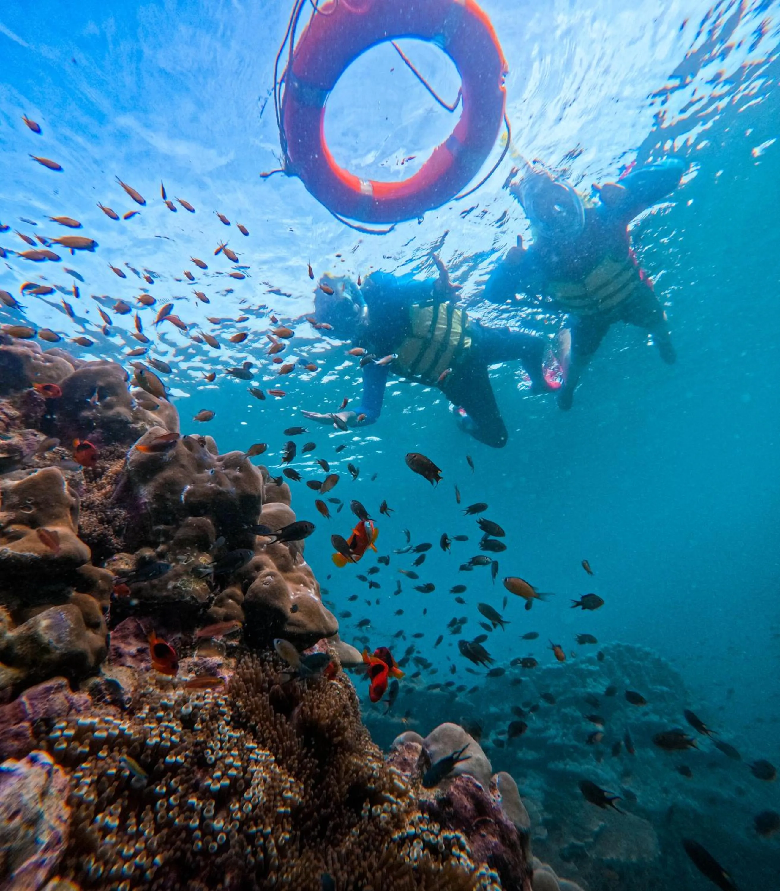 Activities in Le Ranong Bistro Hotel