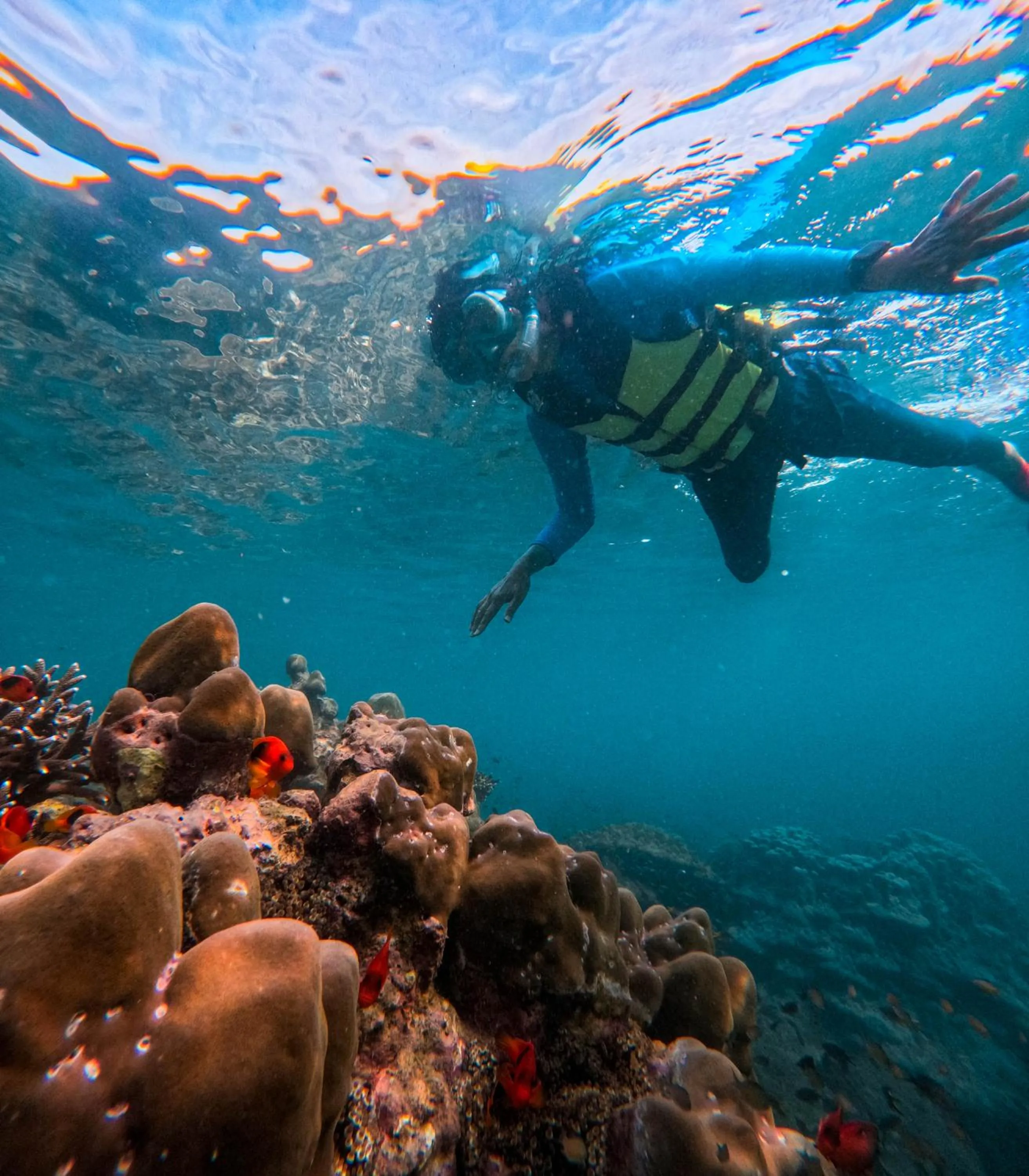 Snorkeling in Le Ranong Bistro Hotel