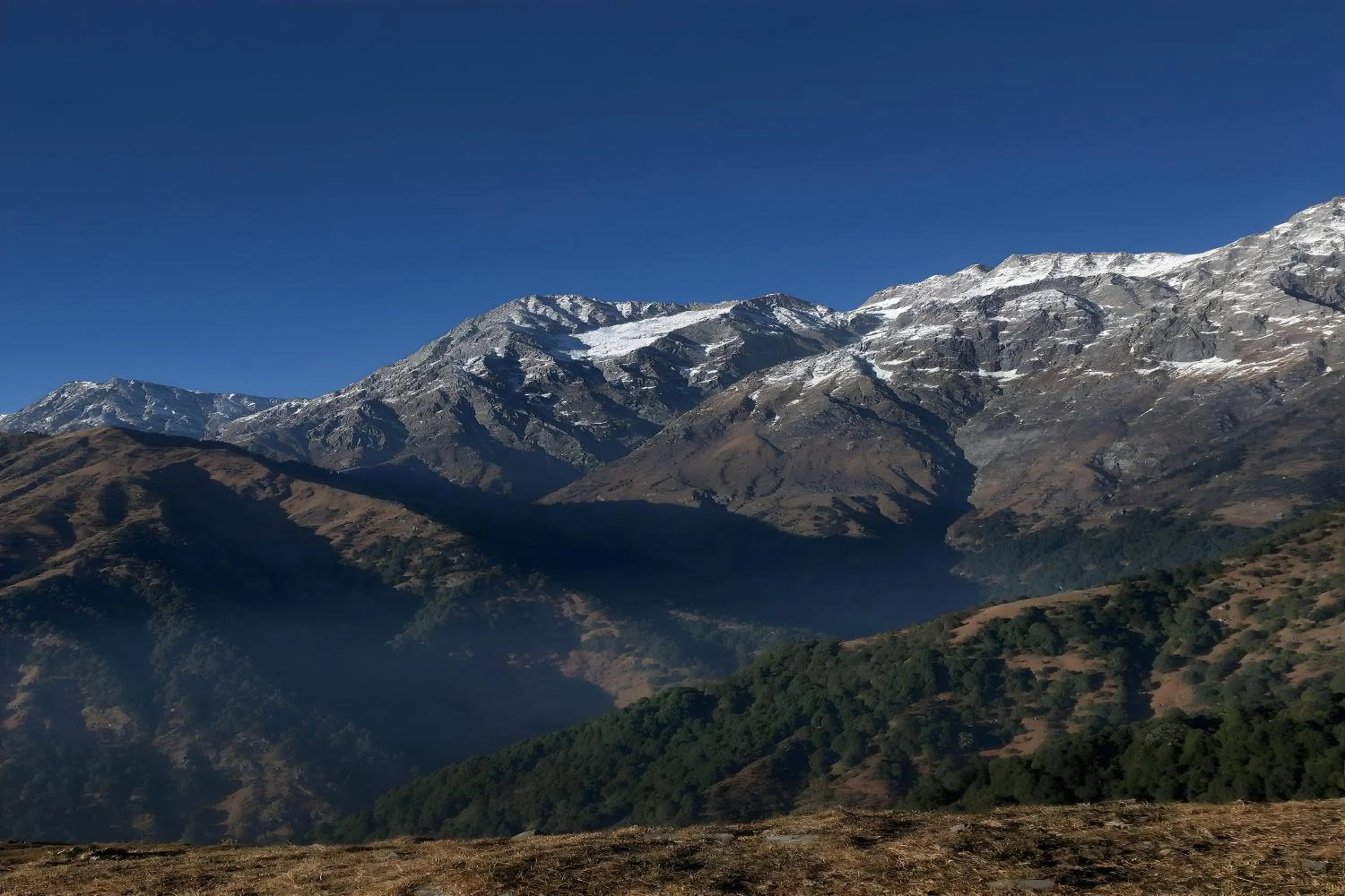 Balcony/Terrace in Aotel by Clarks Inn Palampur