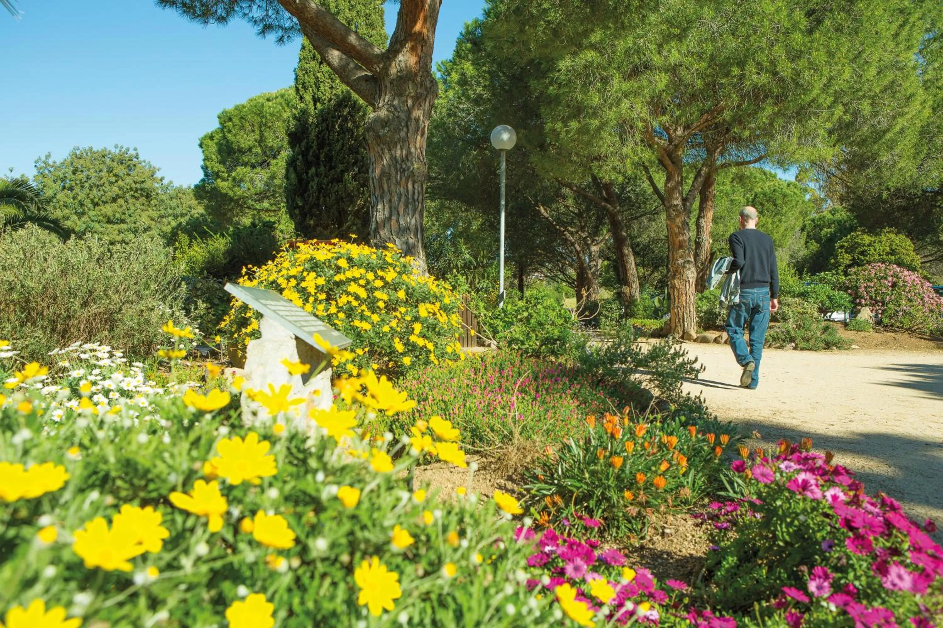 Garden in Feriendorf zum störrischen Esel