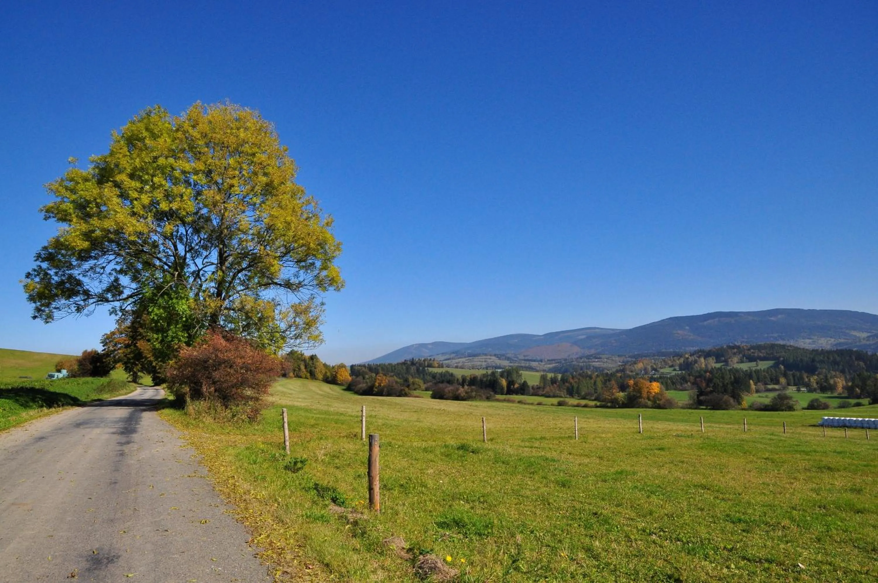 View (from property/room) in Horský Hotel Skiland