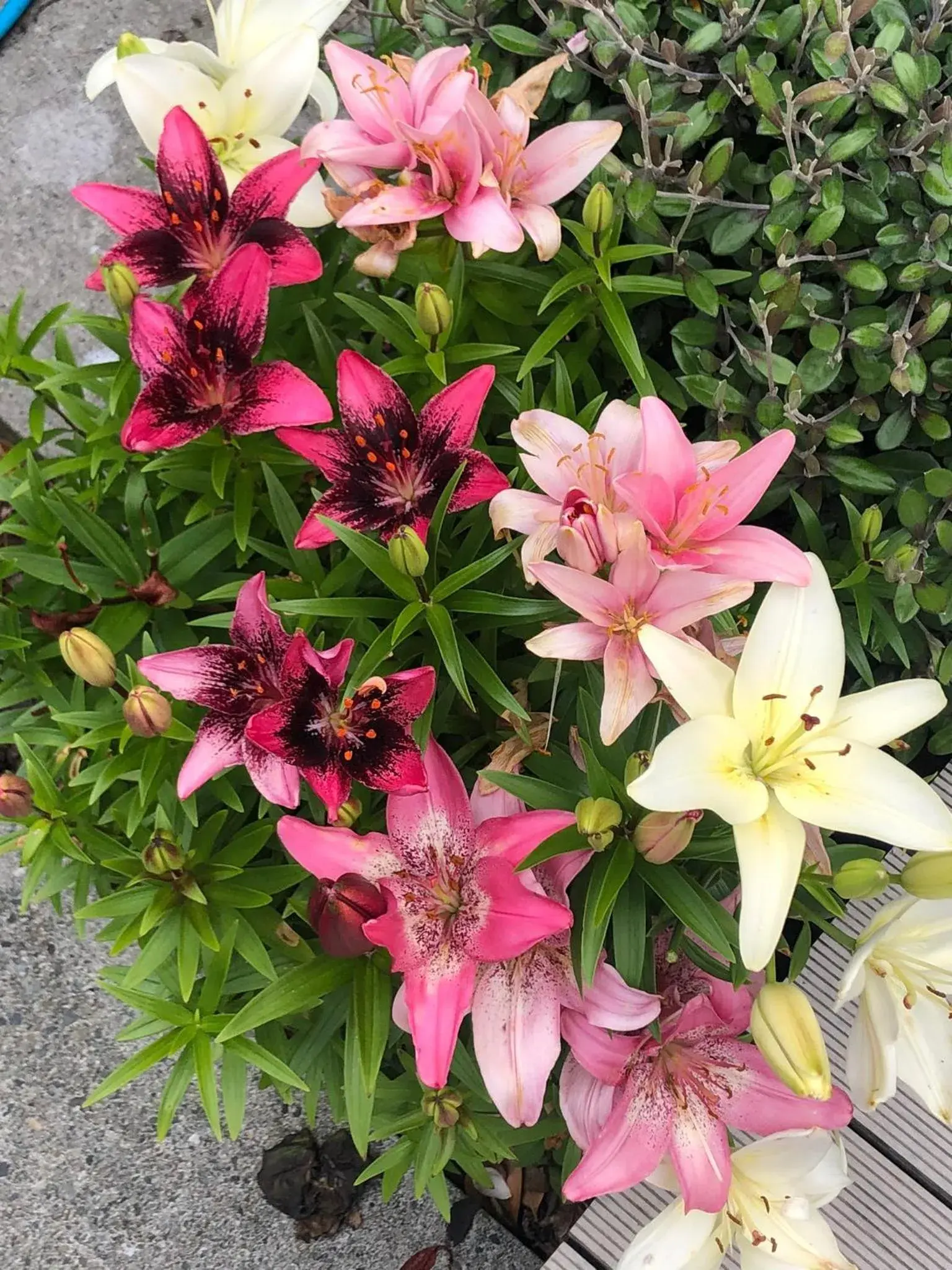 Deluxe Queen Room in Top Floor Bed and Breakfast Deluxe Queen Room in Top Floor Bed and Breakfast