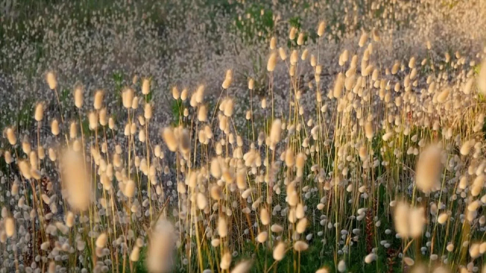 Natural landscape in Top Floor Bed and Breakfast