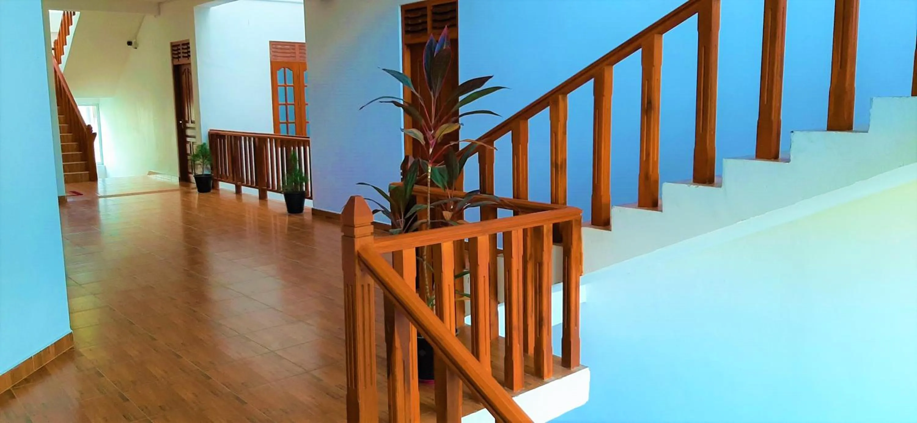 Natural landscape in Dream Palace Family Guest House Mirissa , Beach 50m