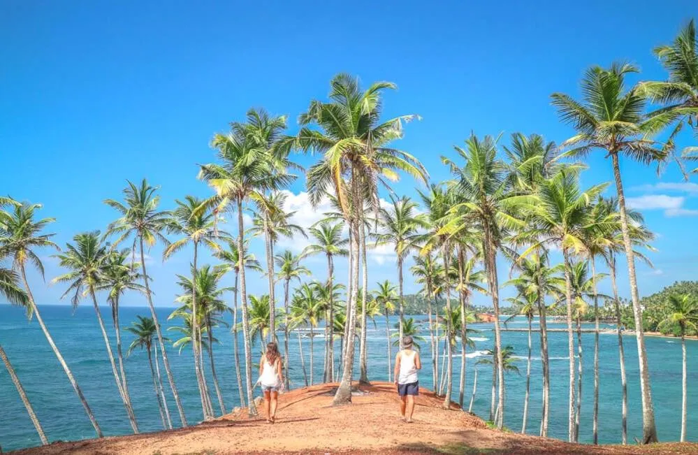 Natural landscape in Dream Palace Family Guest House Mirissa , Beach 50m