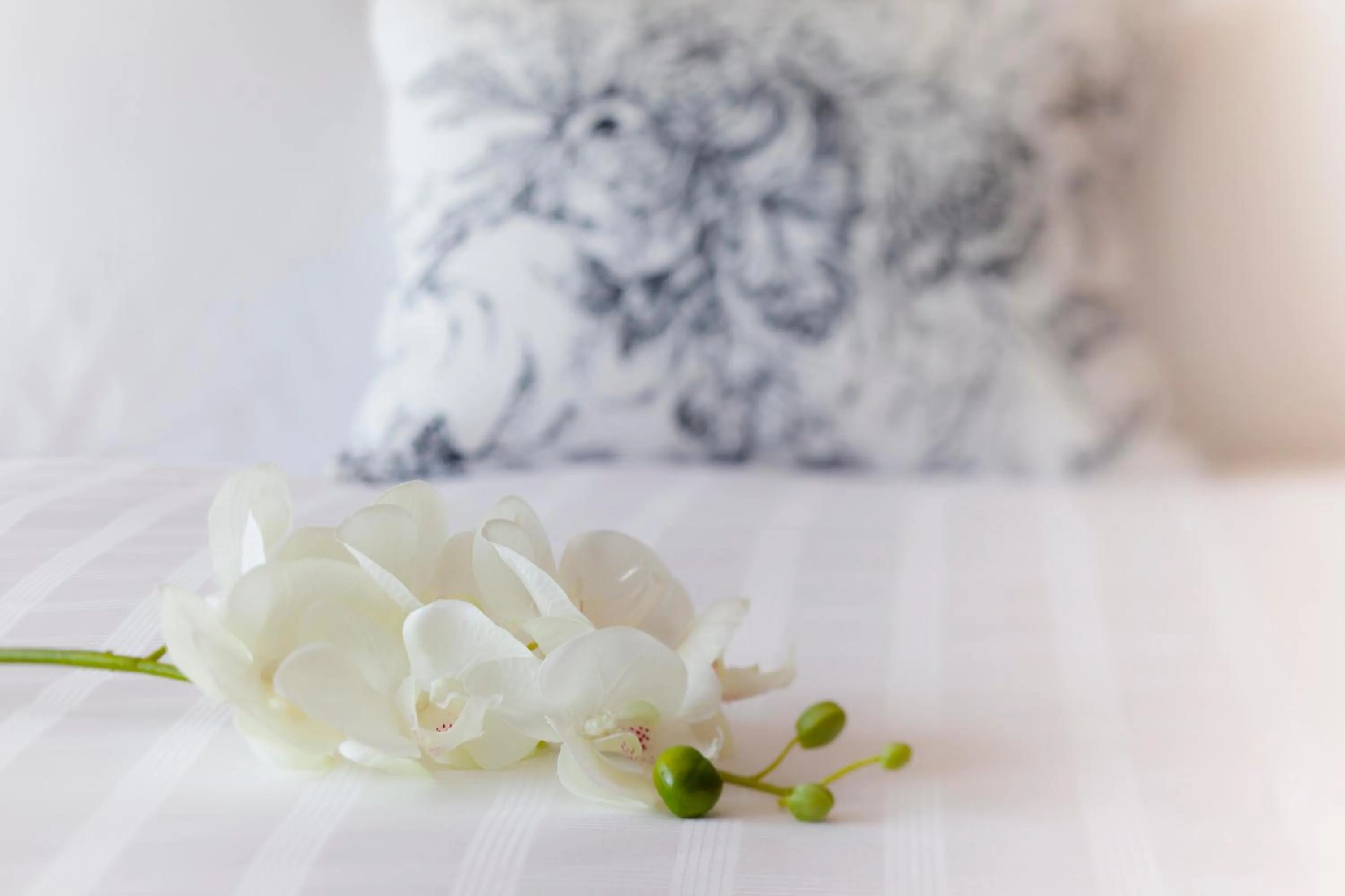 Decorative detail, Bed in U Sathorn Bangkok