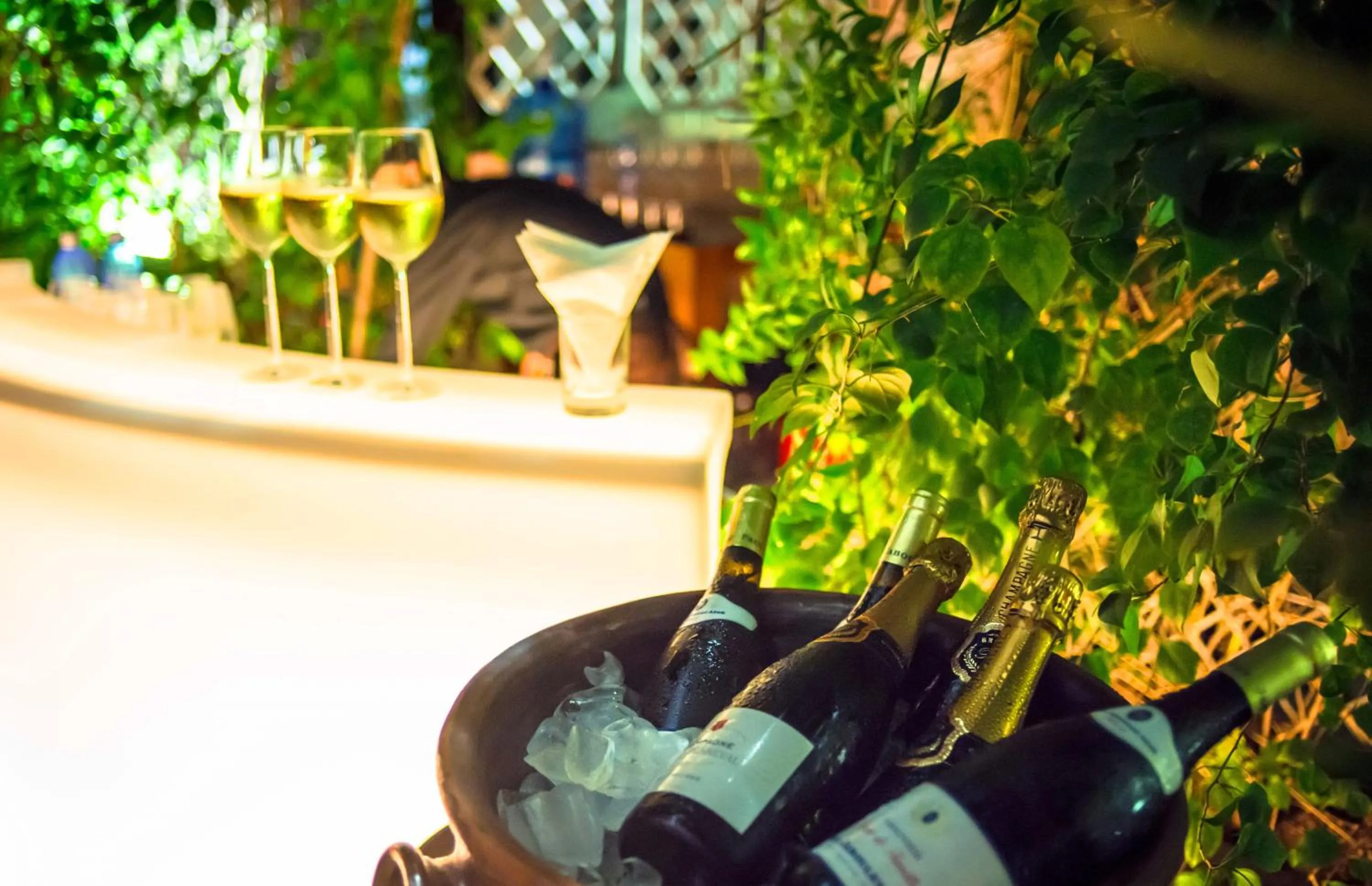 Drinks in The Loft Hotel Downtown Yangon