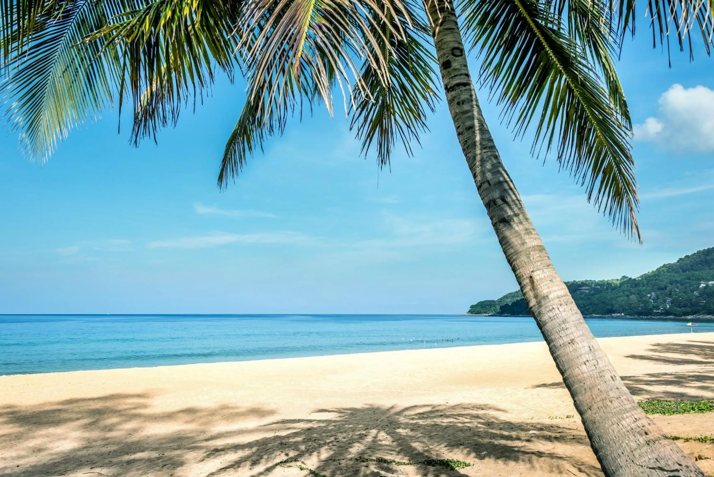 Beach in Holiday Inn Resort Phuket Karon Beach by IHG
