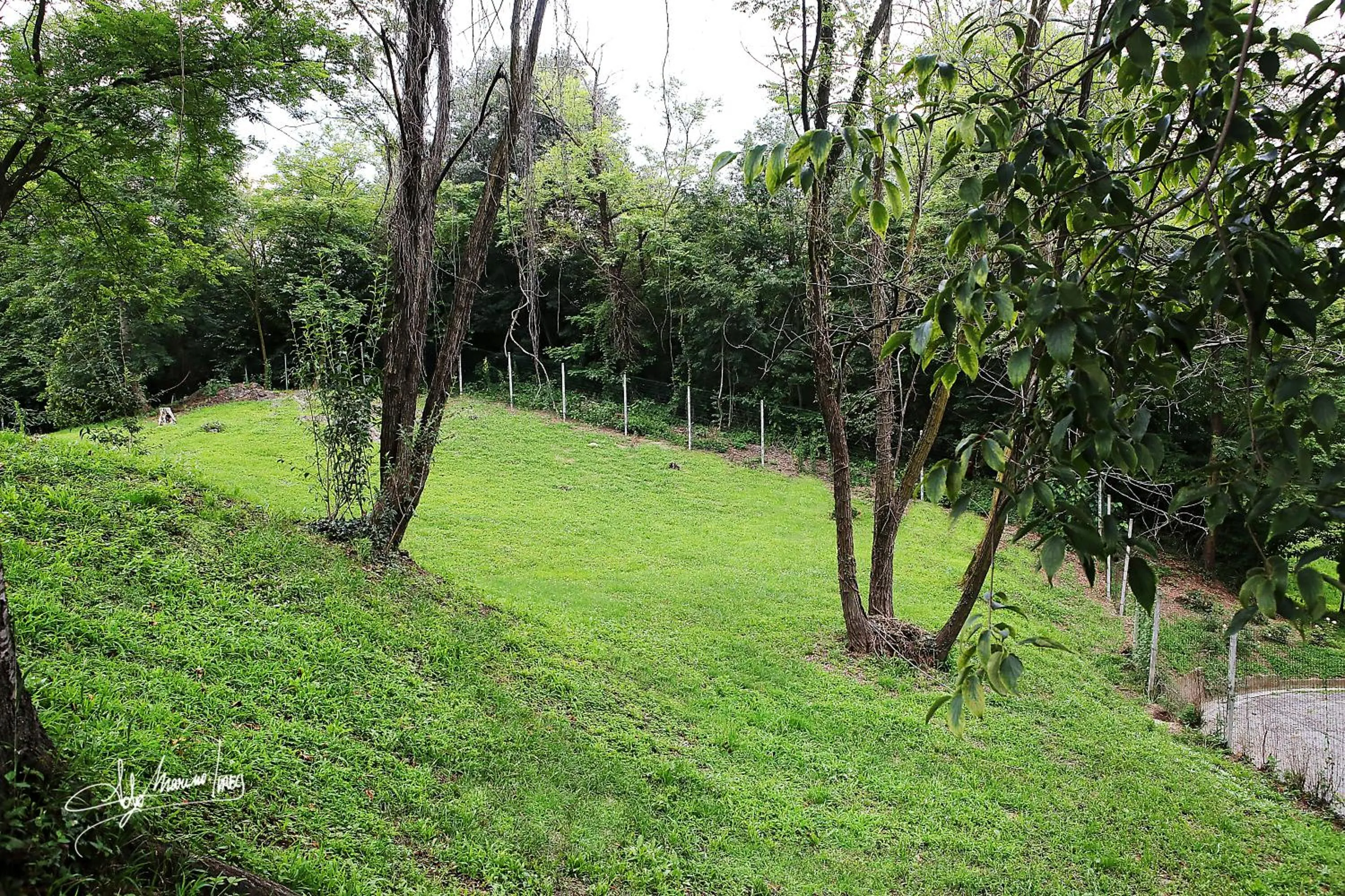 Garden in Villa Silvia Olivetti