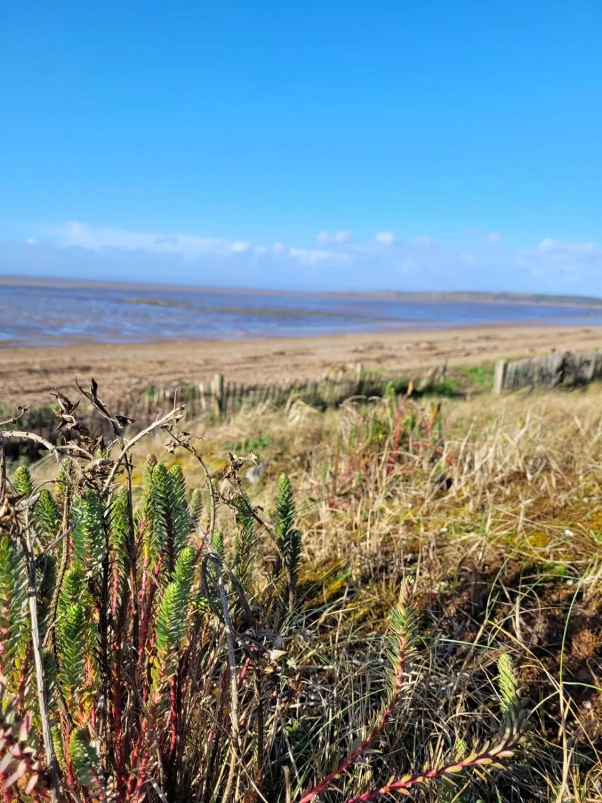 Natural landscape in South Sands Hotel