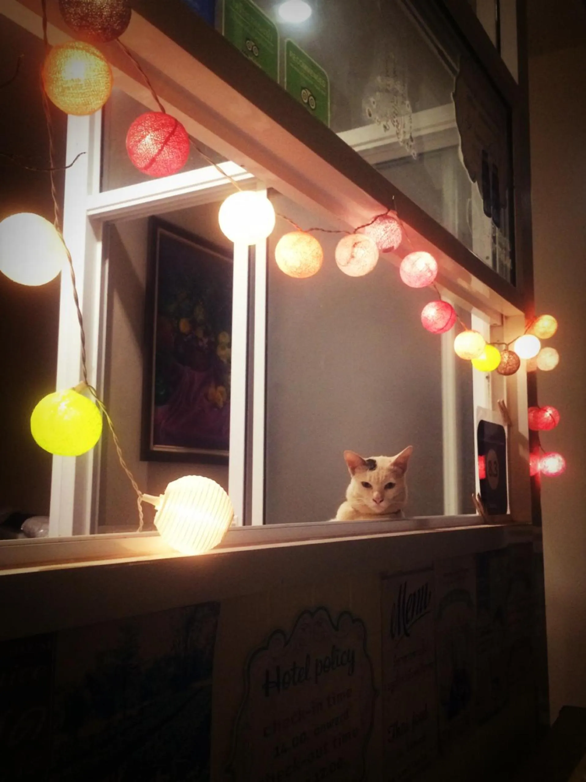 Lobby or reception in Thorfun Guesthouse in the Garden