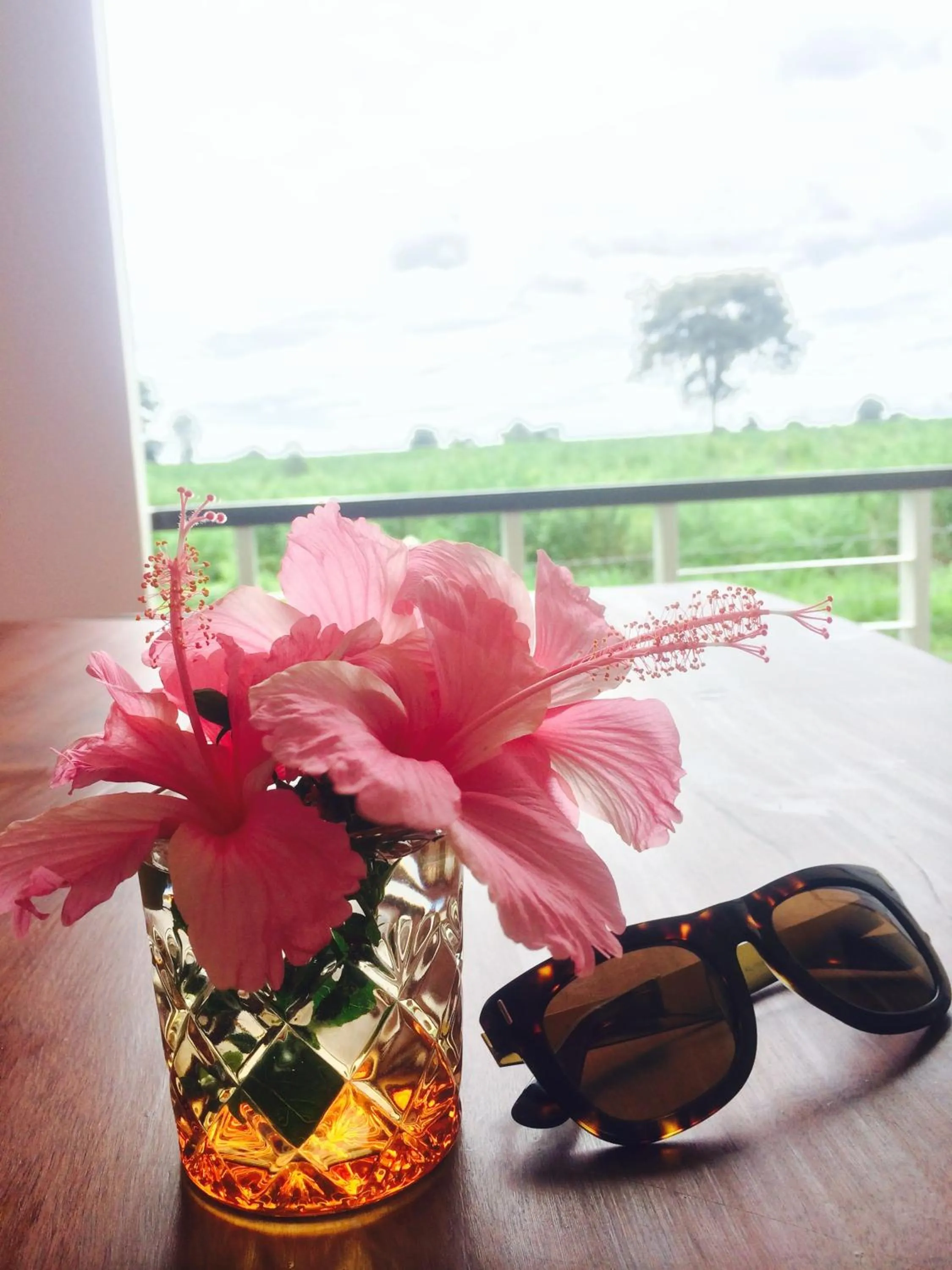 View (from property/room) in Thorfun Guesthouse in the Garden