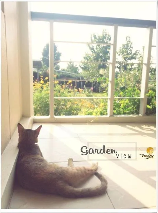 Garden in Thorfun Guesthouse in the Garden