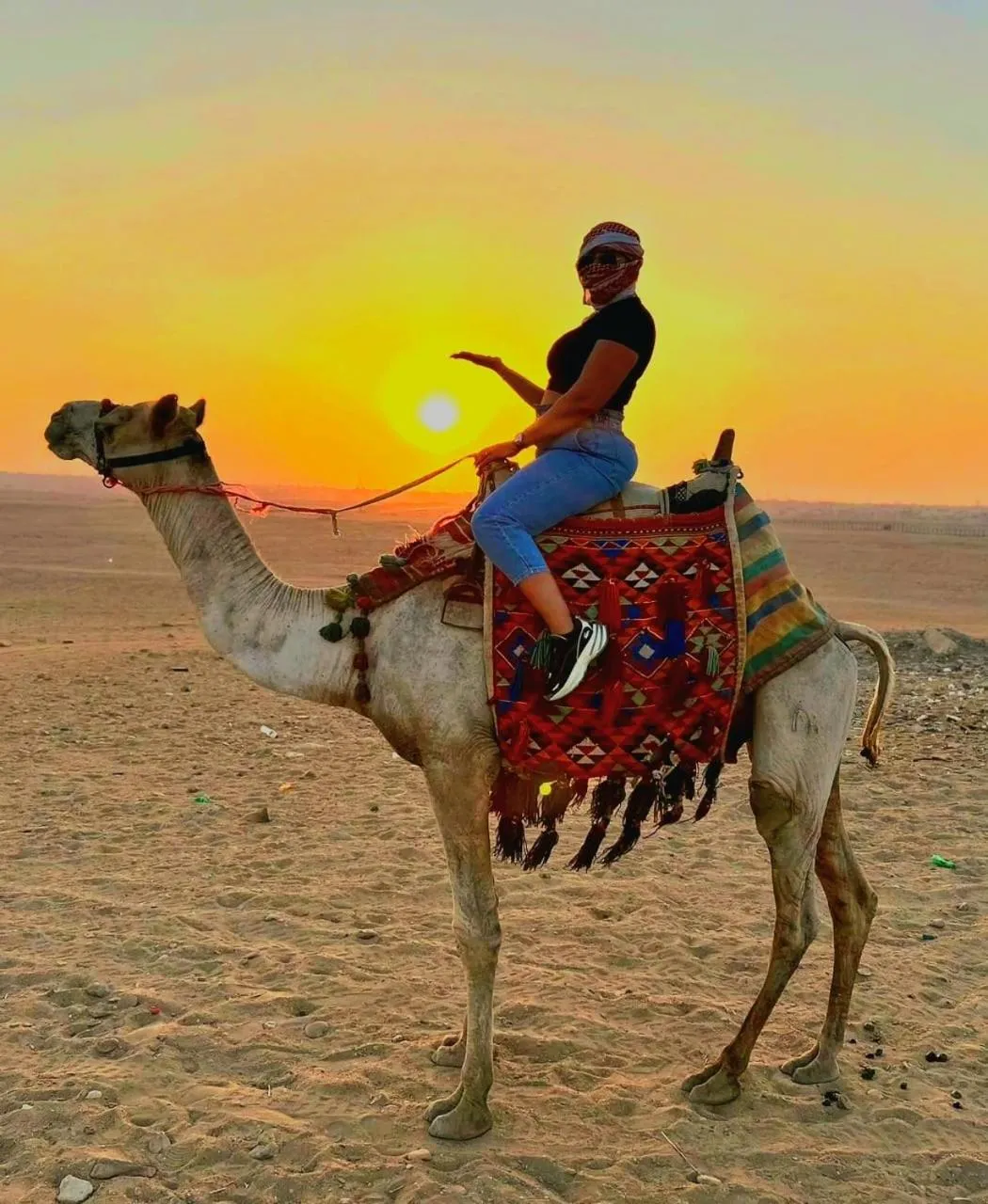 PYramiDs OaSiS ViEW HoTeL