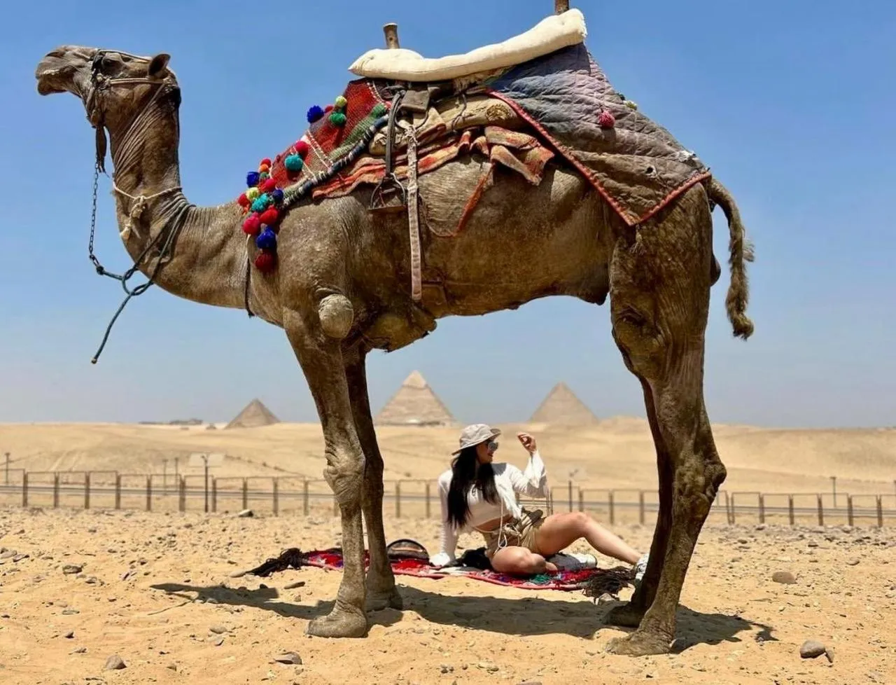 PYramiDs OaSiS ViEW HoTeL