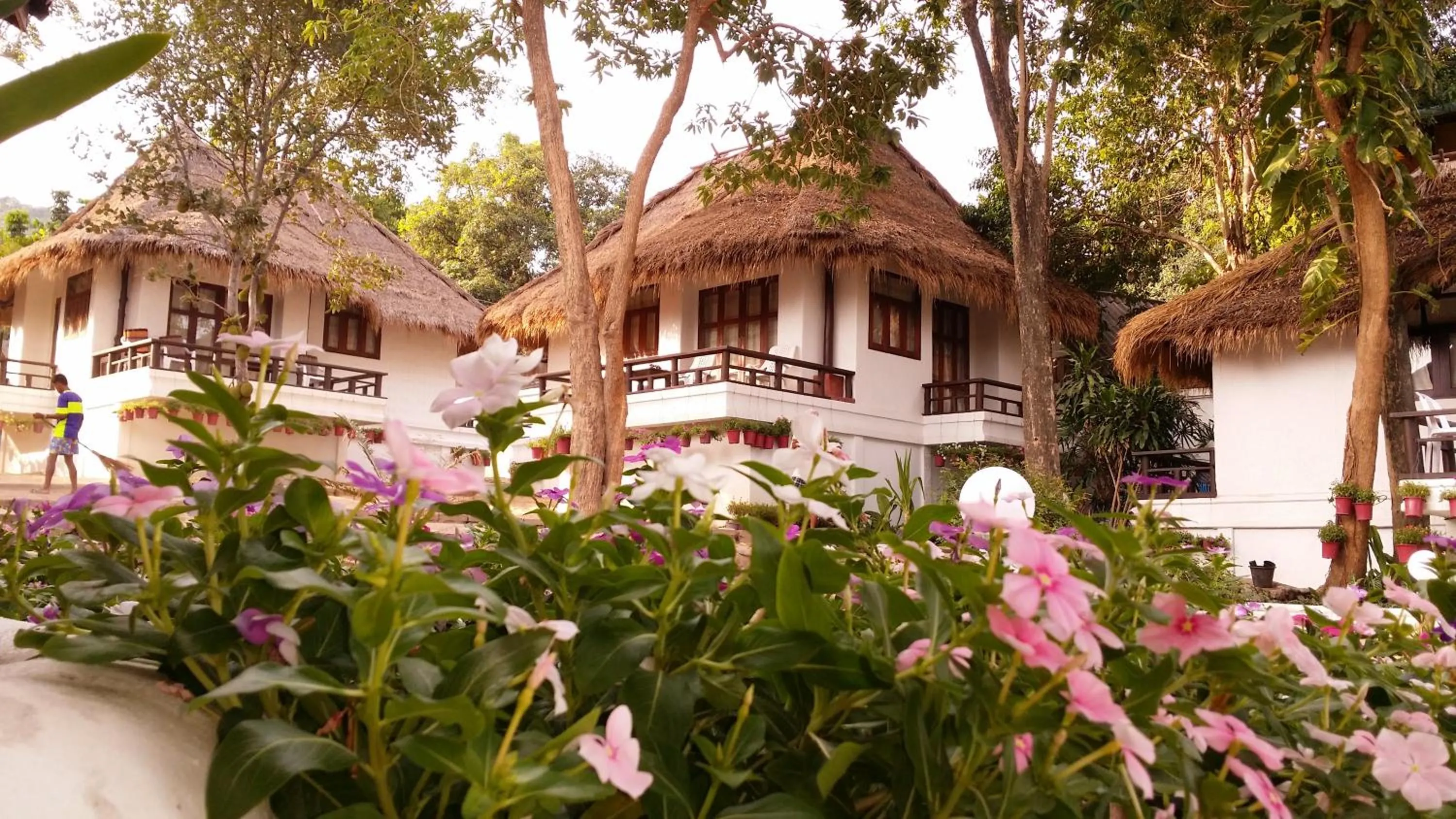 Day in Clear View Resort