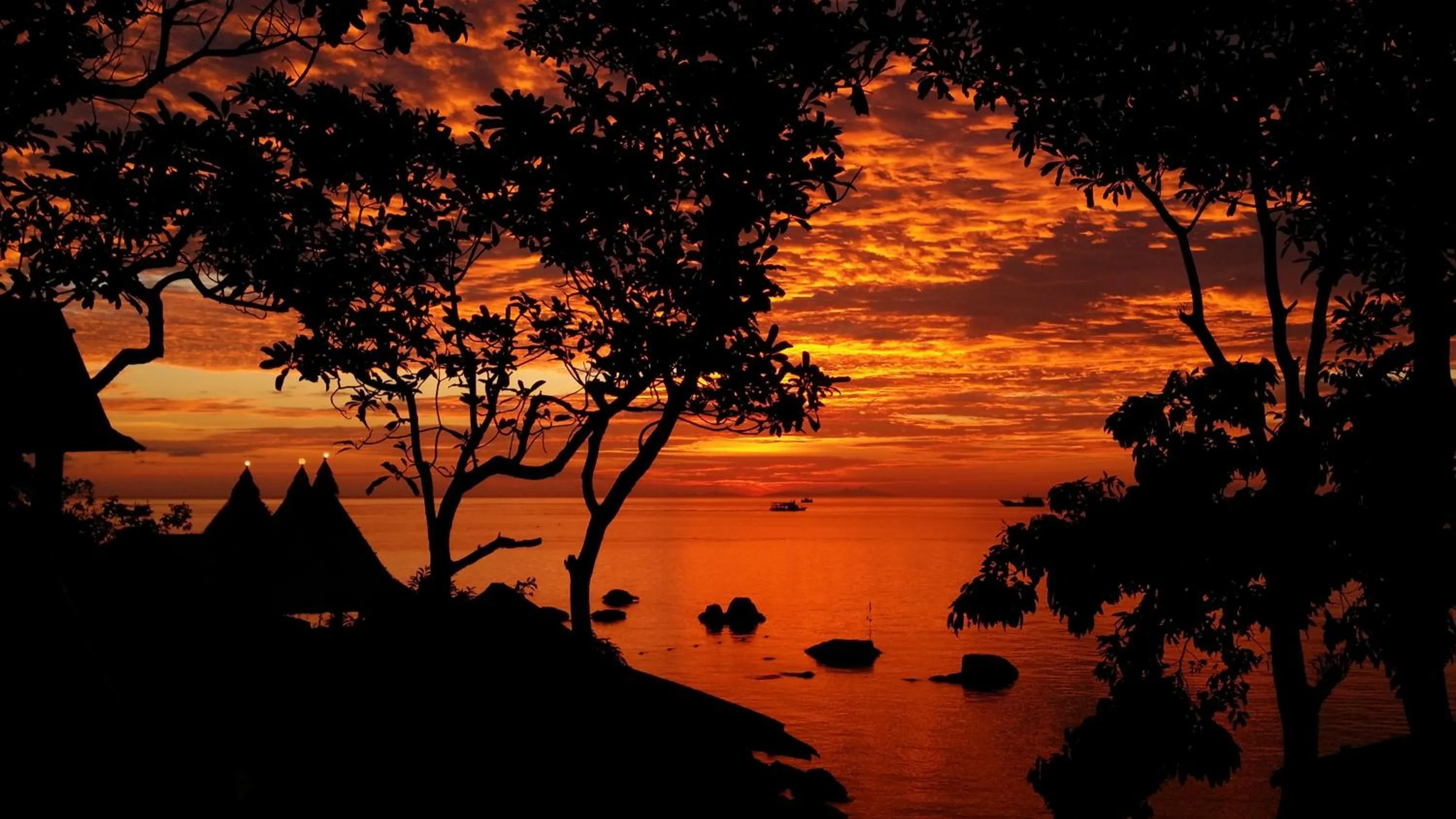 Night in Clear View Resort