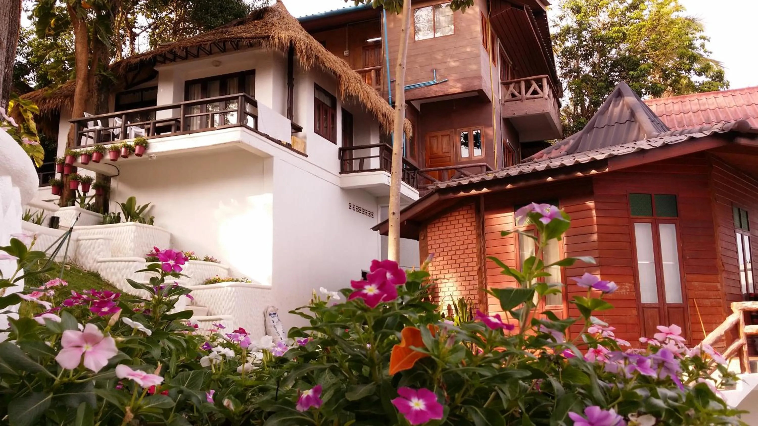 Summer in Clear View Resort