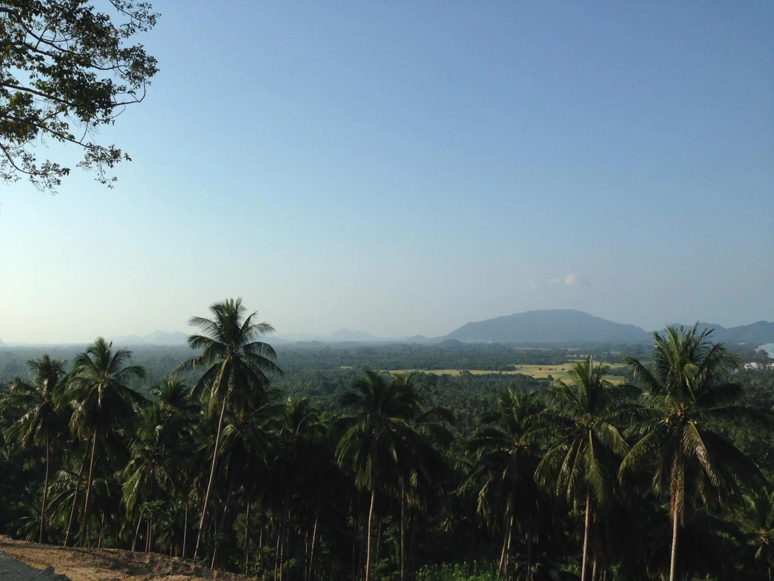 Natural landscape in Sea Breeze House, Naiplao Beach