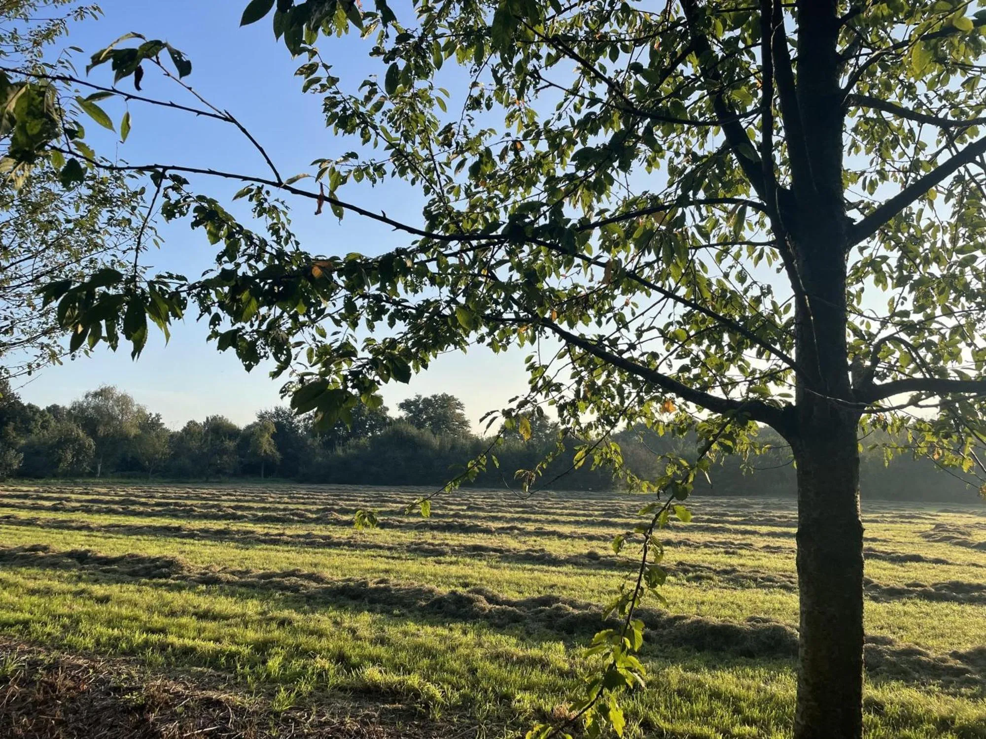 View (from property/room) in Vakantiehuis B&B Familie Versantvoort