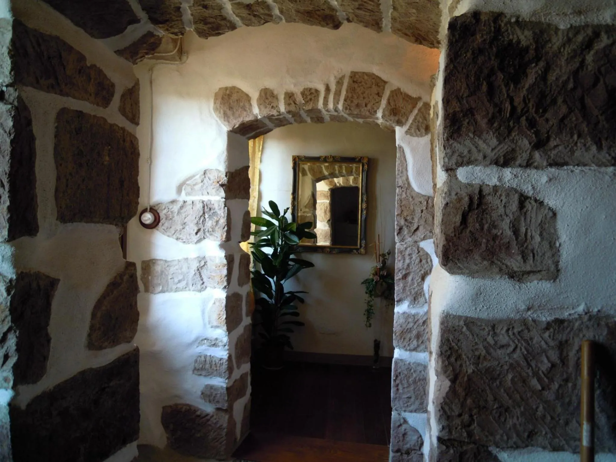 Area and facilities in Casa Castori