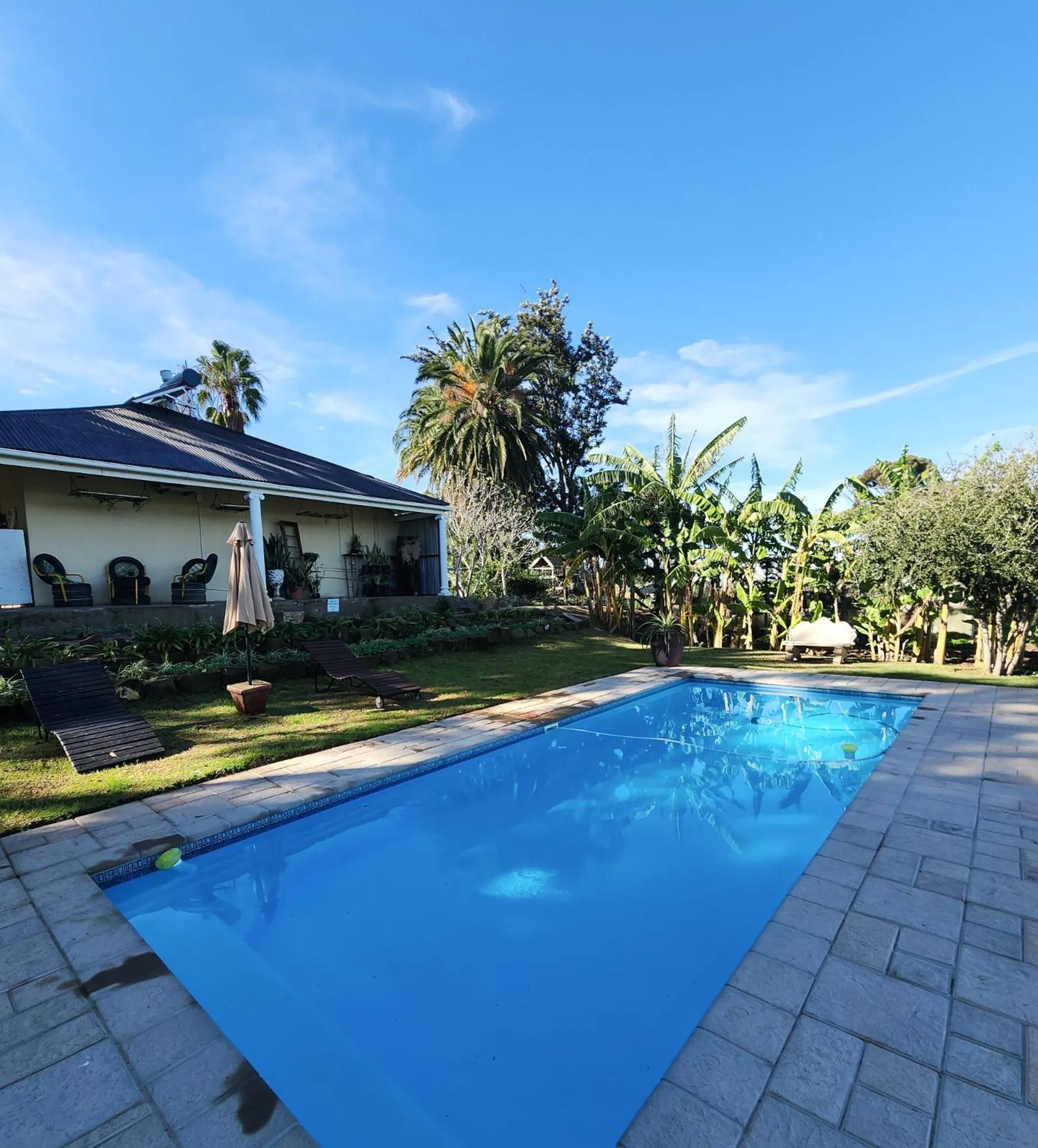 Homestead Bed and Breakfast