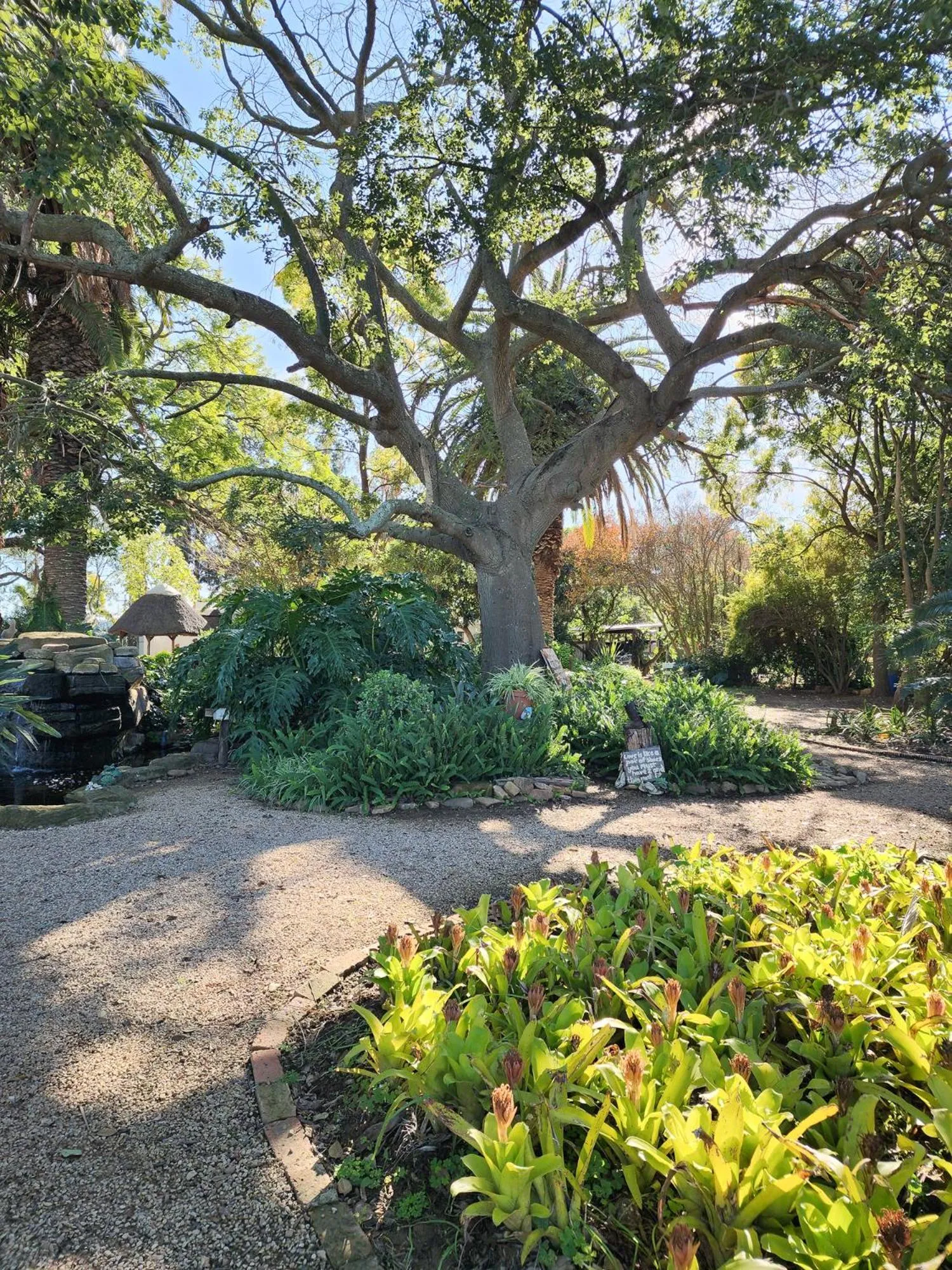 Homestead Bed and Breakfast