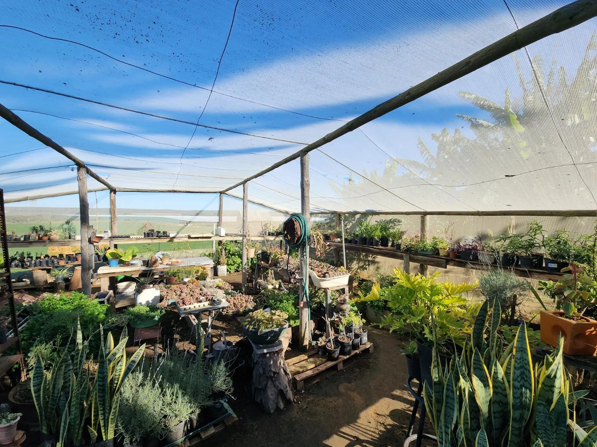 Homestead Bed and Breakfast