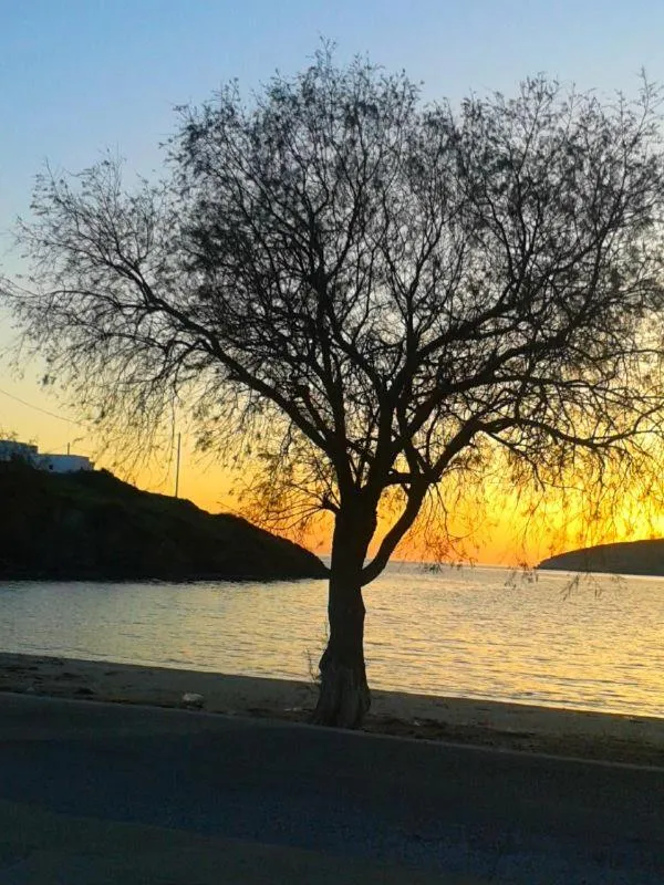 Beach in Calypso Hotel