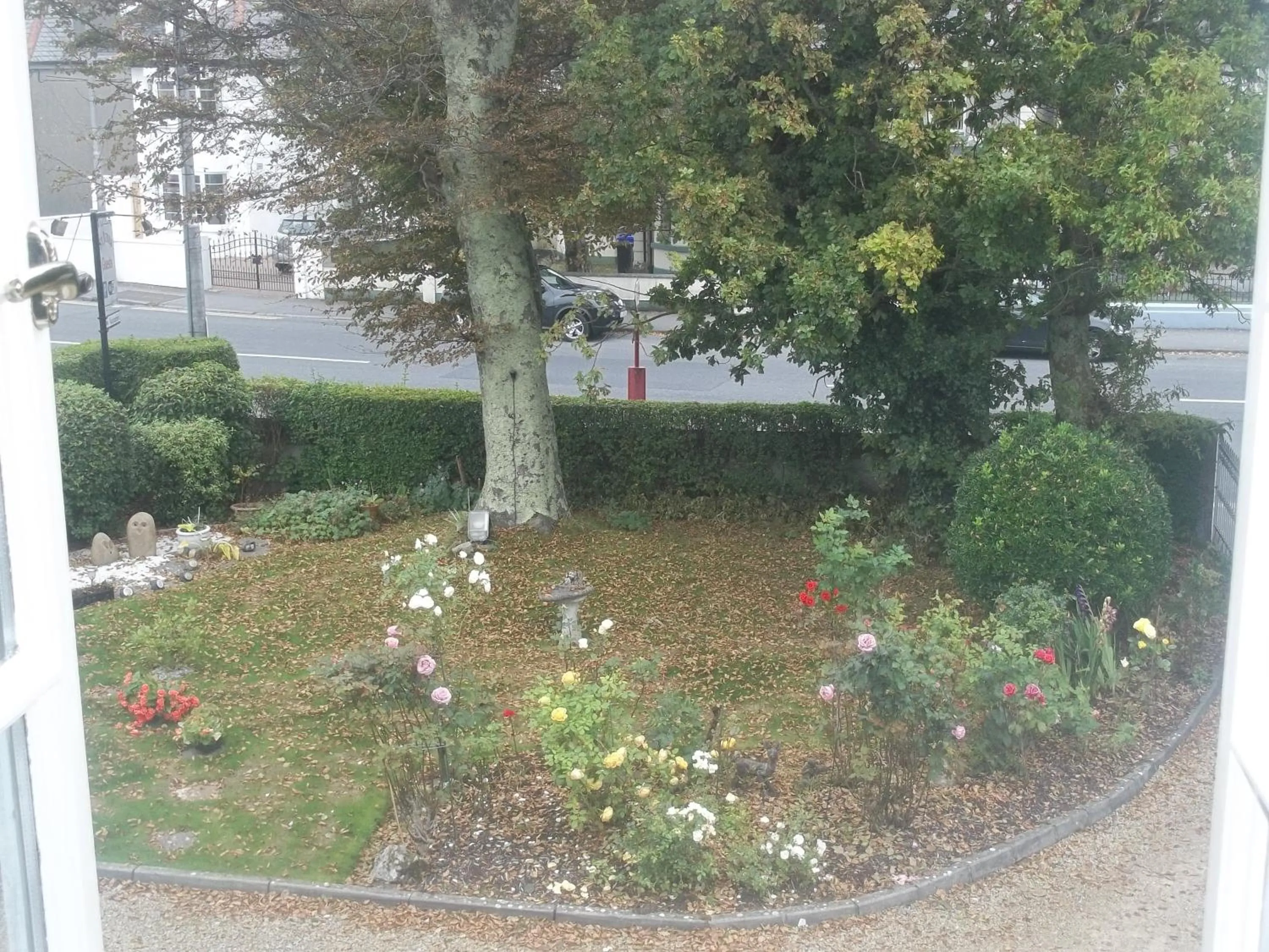 Garden in St Judes B&B