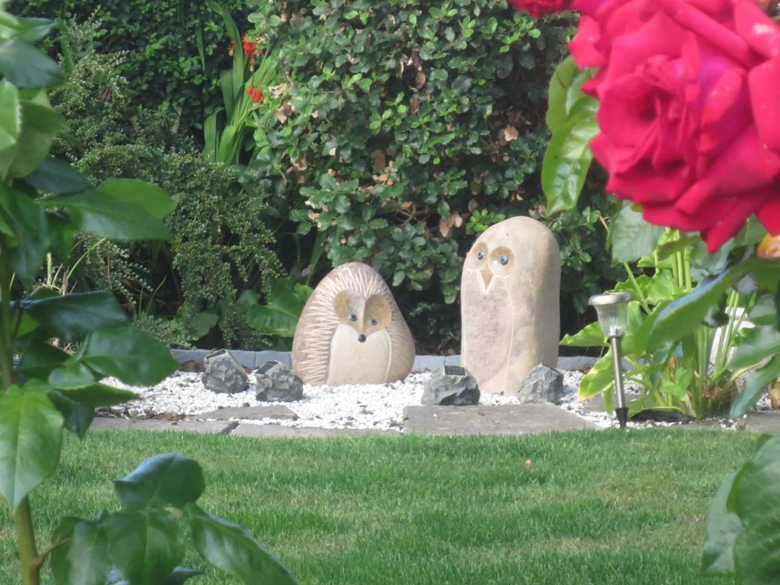 Garden in St Judes B&B