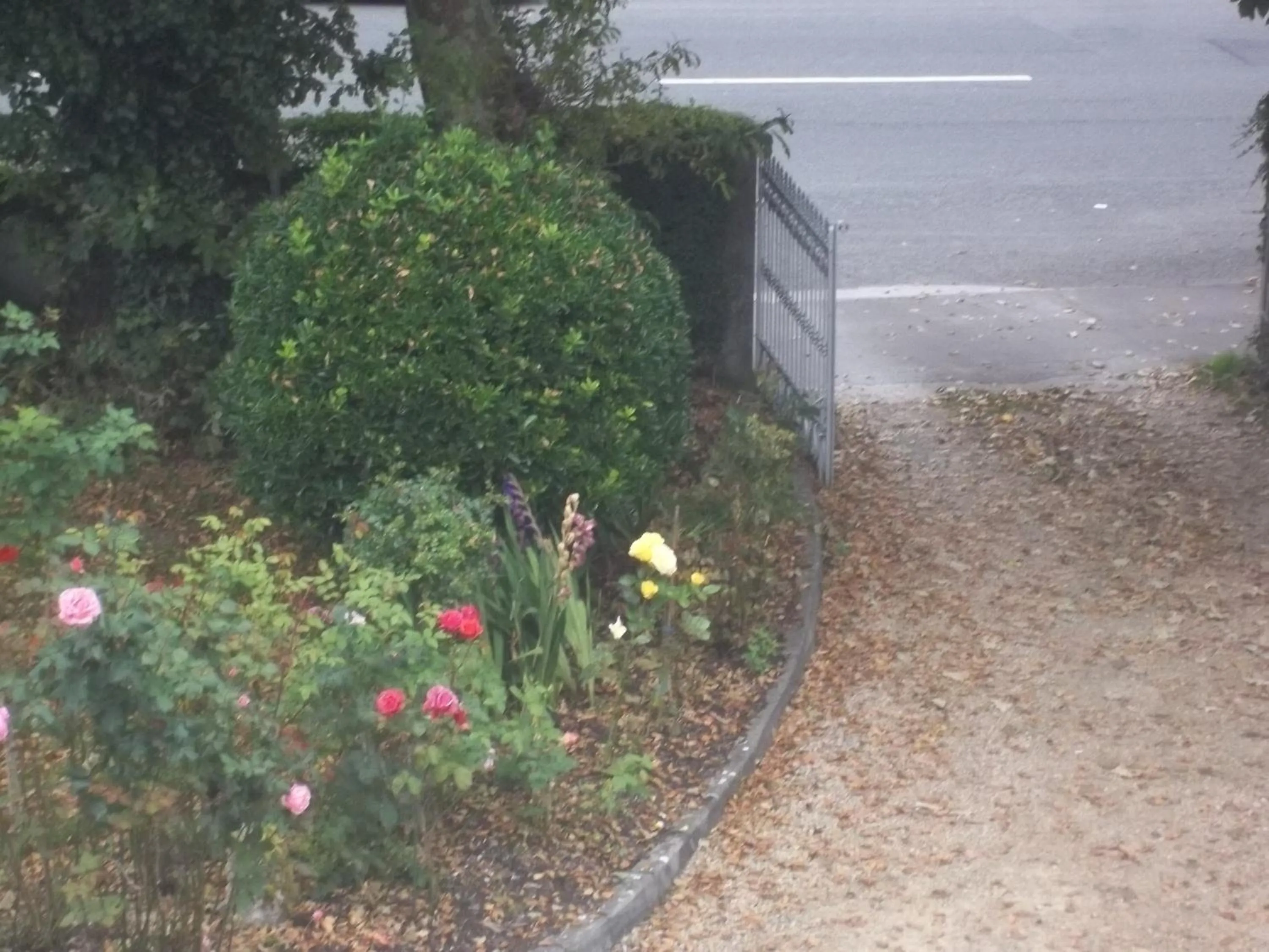 Autumn in St Judes B&B