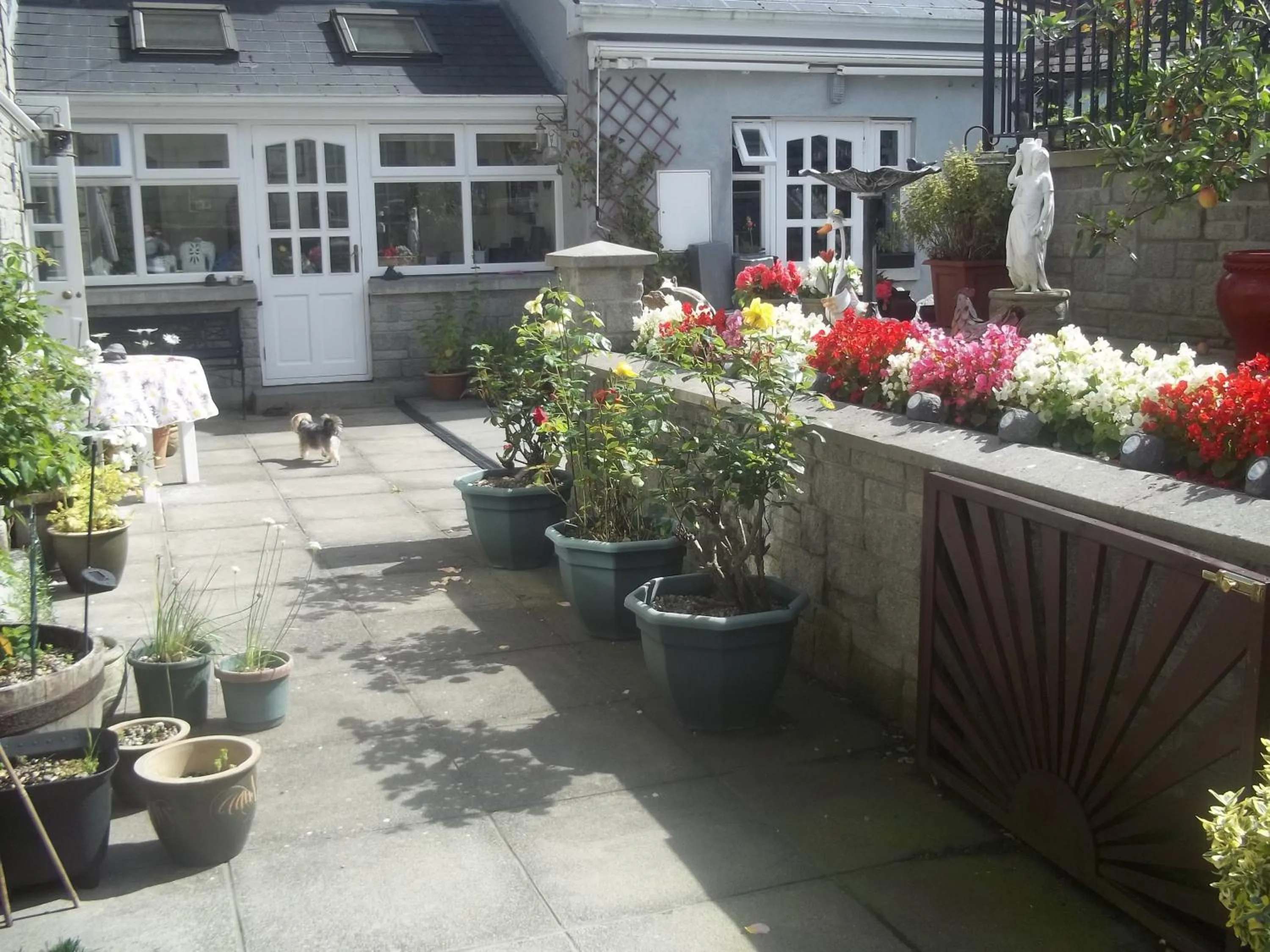 Garden in St Judes B&B