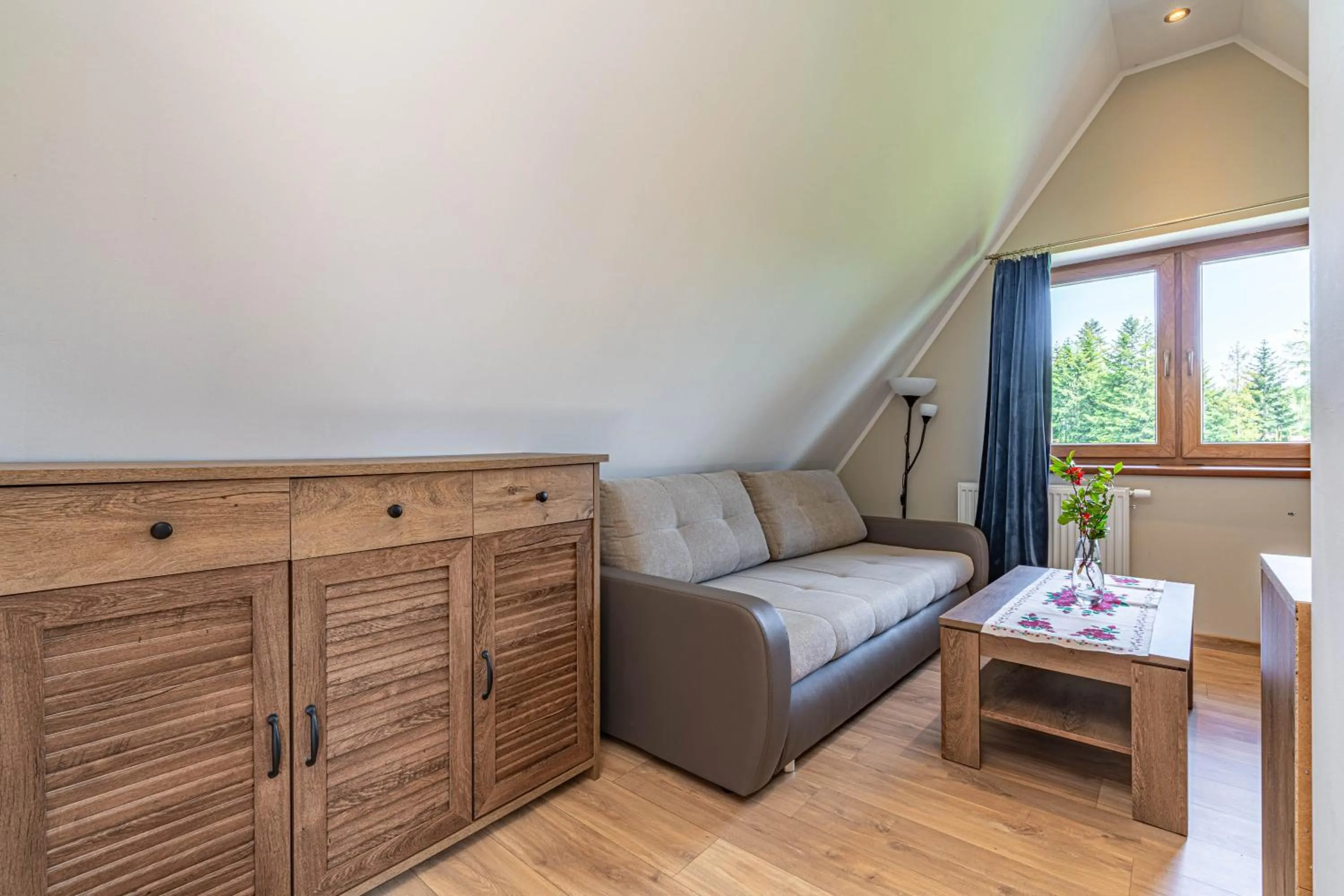 Living room in Willa Serafin-basen, sauny i jacuzzi w Willa Baciarka dodatkowo płatne