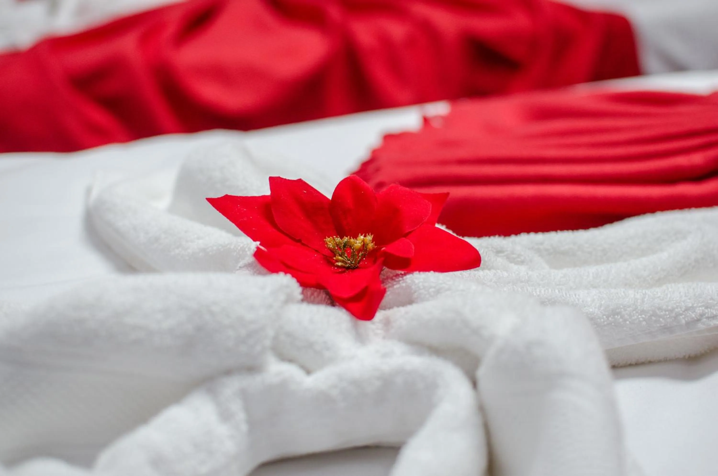 Decorative detail, Bed in City Lux Villa