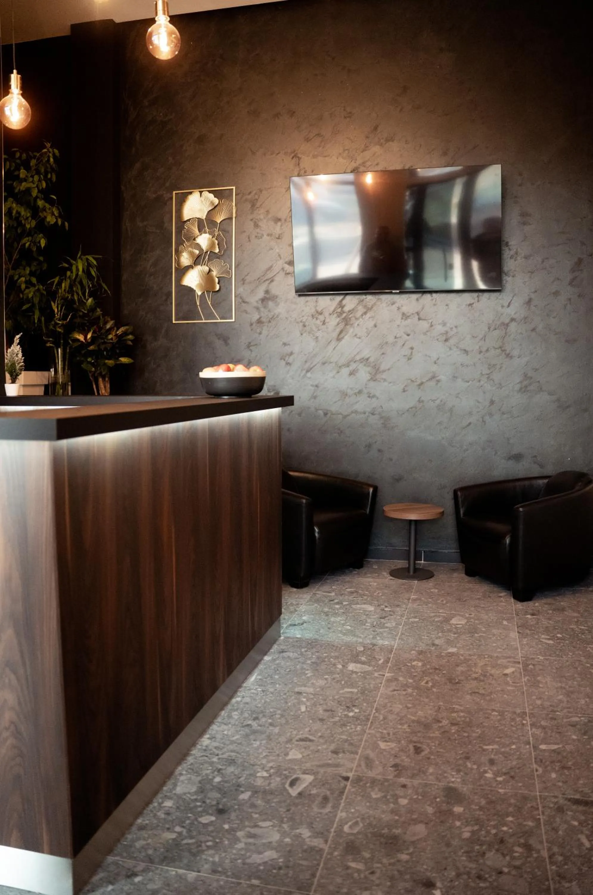 TV and multimedia in Olivia Rooms