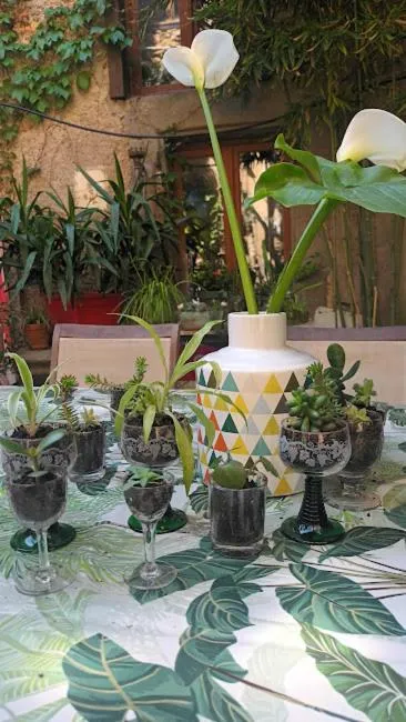 Garden in Les deux arches