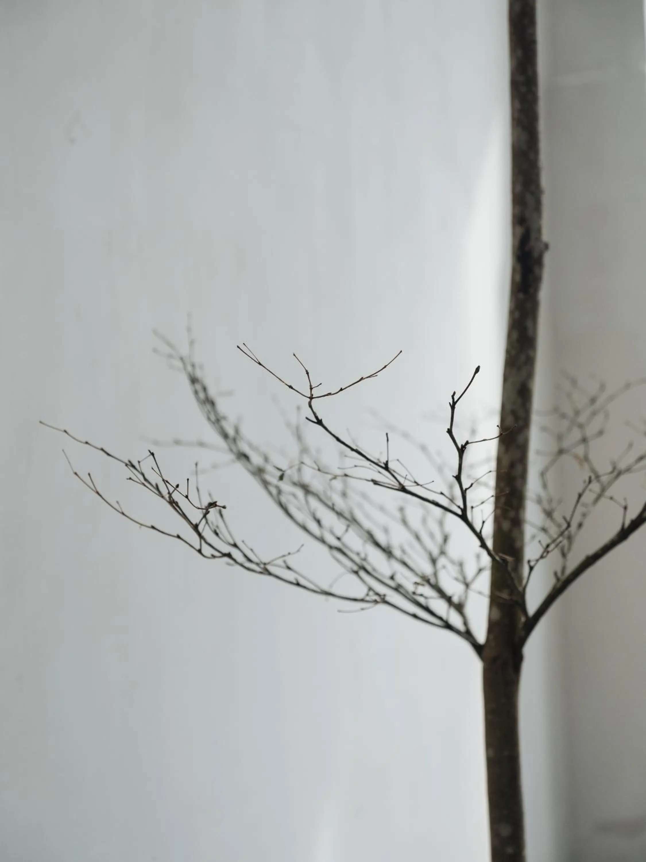 Balcony/Terrace in Lloyd's Inn Kuala Lumpur