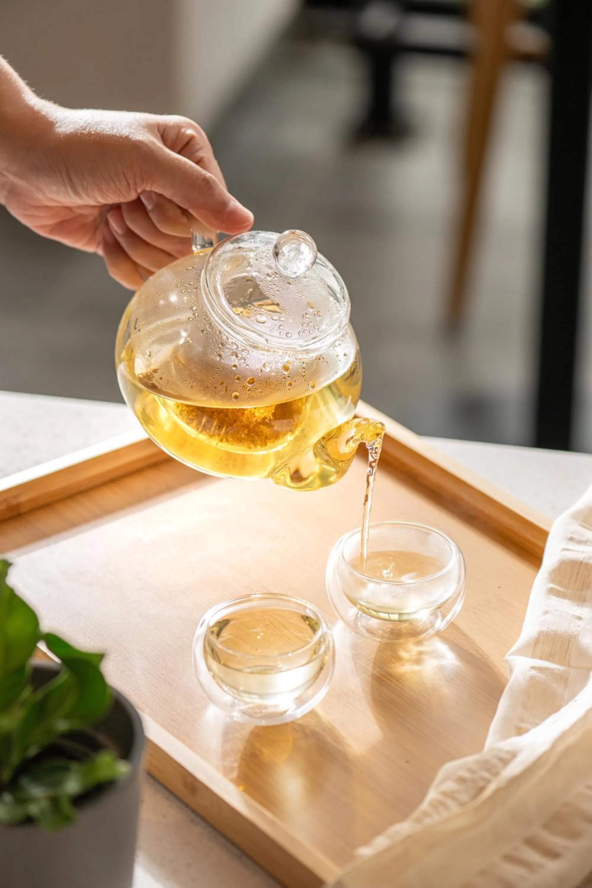 Dining area in Lloyd's Inn Kuala Lumpur