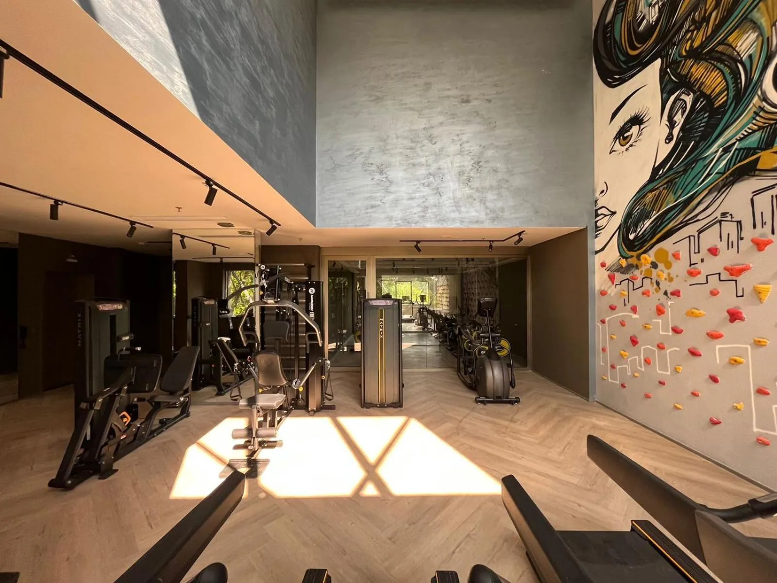Fitness centre/facilities in Iconyc House of Charlie