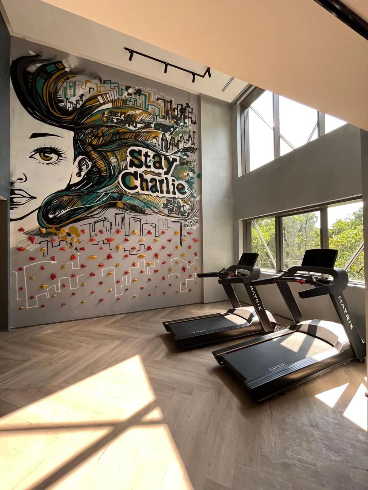 Fitness centre/facilities in Iconyc House of Charlie