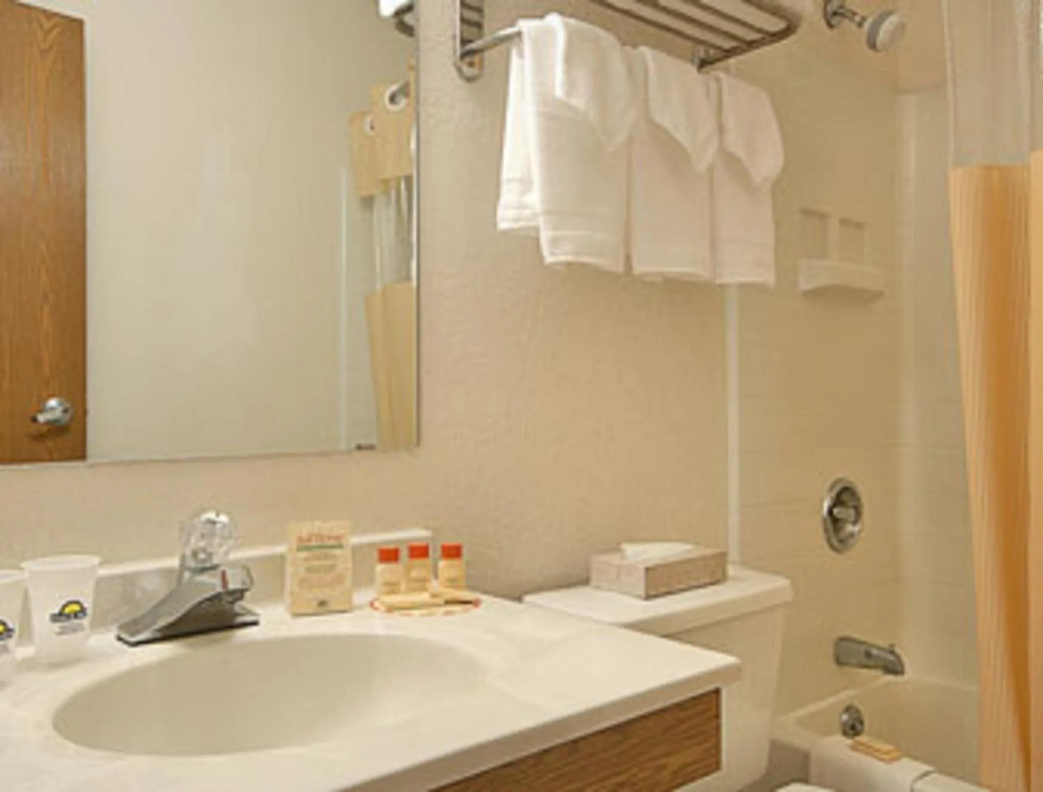 Bathroom in Days Inn by Wyndham Hornell NY